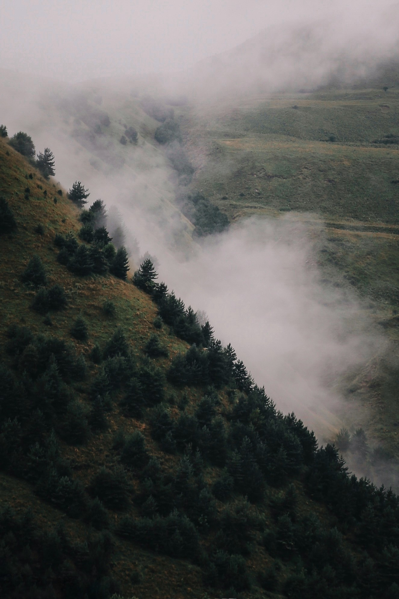 Тур Дагестан. Фотограф в Серпухове и Тарусе Ксения Царёва