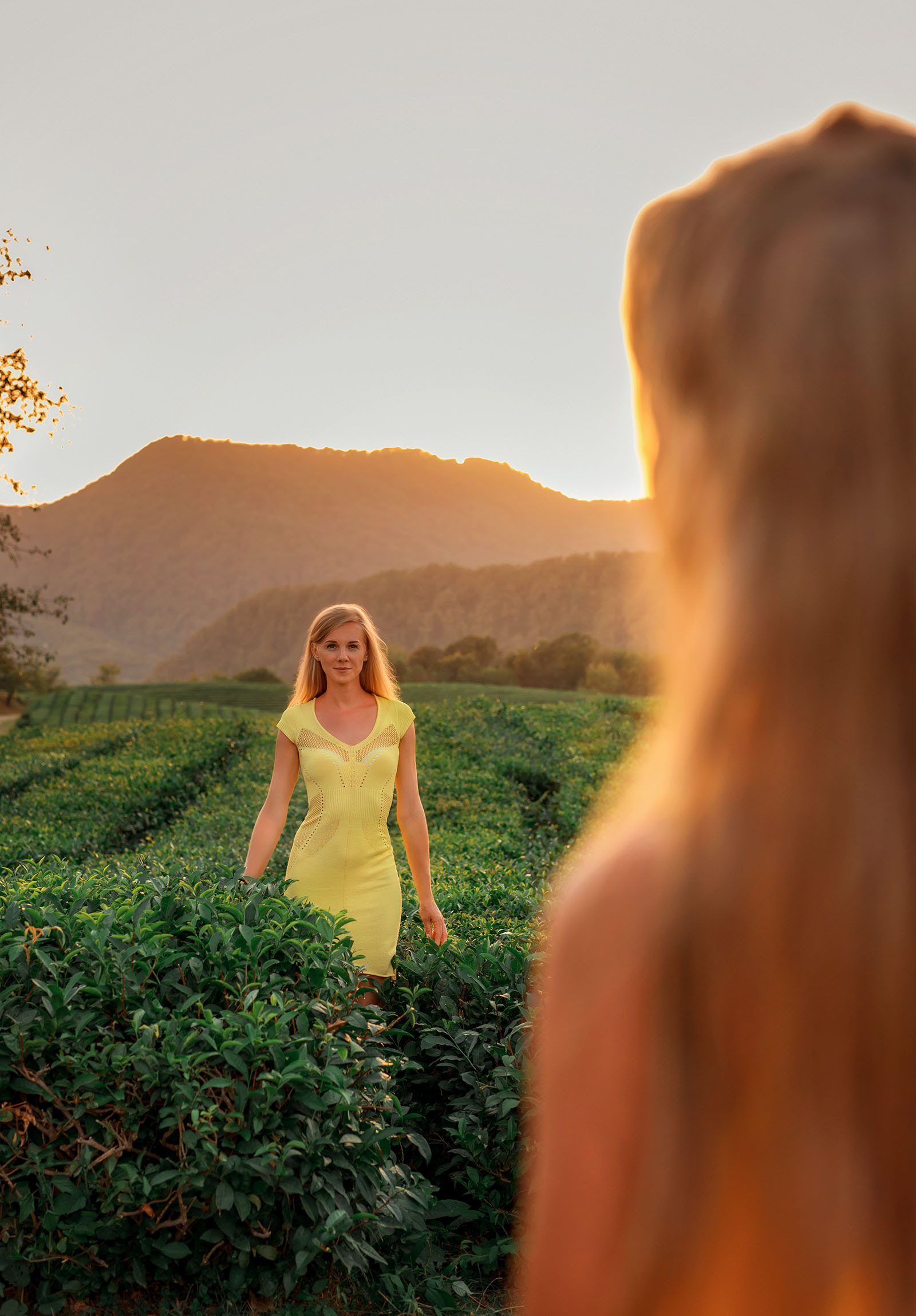 Чайные плантации. Фотограф в Сочи, Адлере, Сириусе и на Красной поляне Кушабаева Алёна