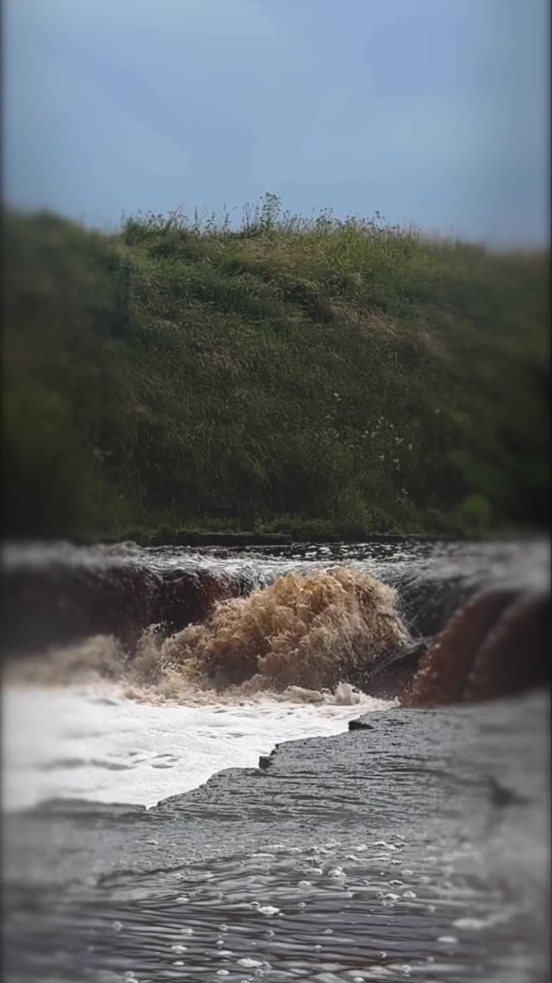 Видео. Фотограф I Санкт-Петербург