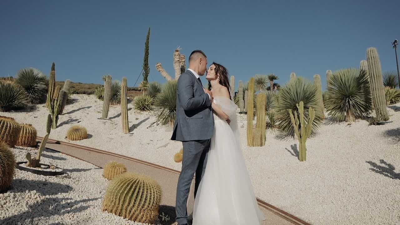 Видеограф Краснодар Анапа Сочи | Feeling Movies