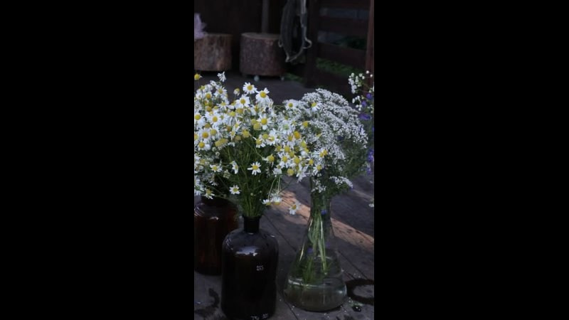 Reels. Профессиональный фотограф В Коломне Люси Львова