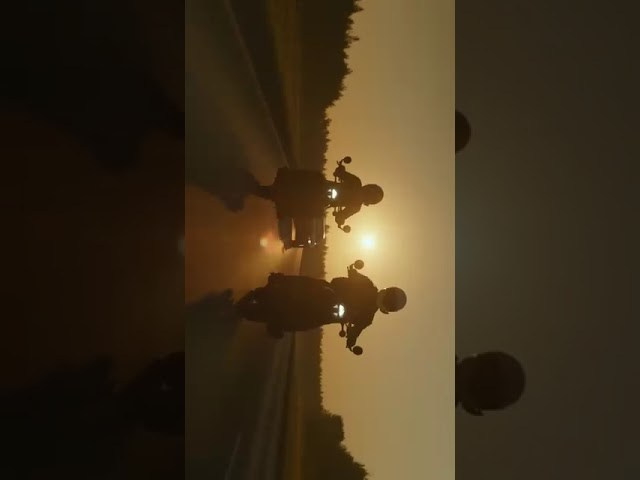 REELS. Главная