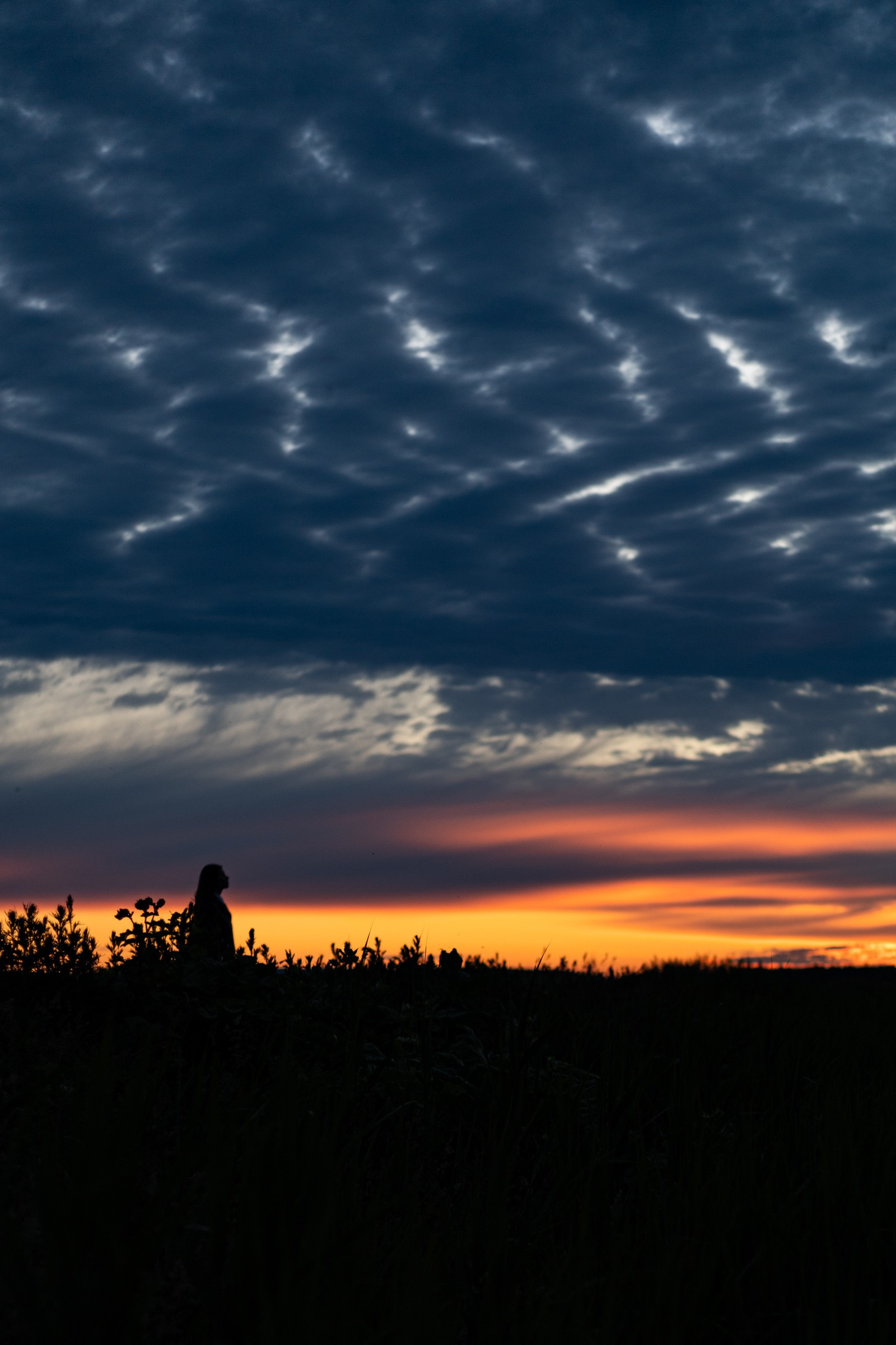 Портфолио. Анатолий Филенков фотограф в Санкт-Петербурге