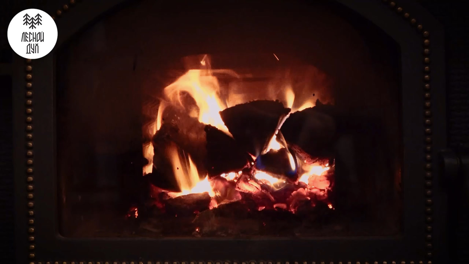 Видеопортфолио. Фото и видеосъёмка в Ярославле | Грибов Медиа контент студия  — от 2500 ₽/час