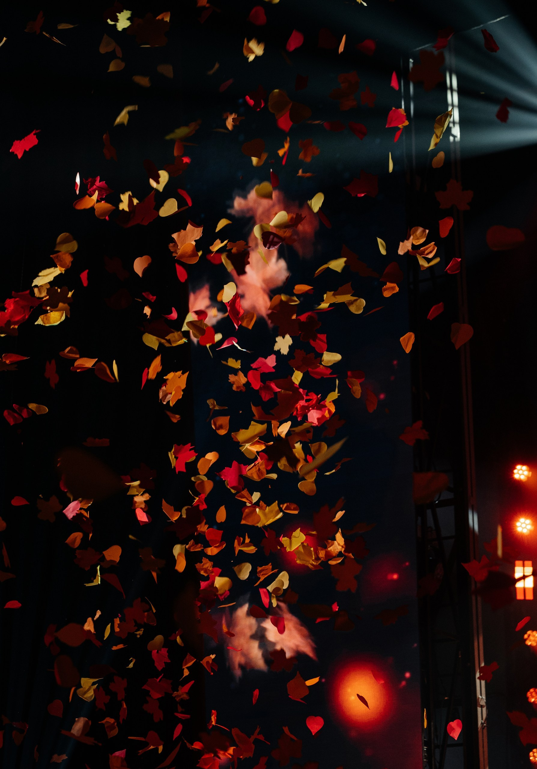 Сентябрь. Свадебный фотограф в Москве и по всему Миру Андрей Медведников