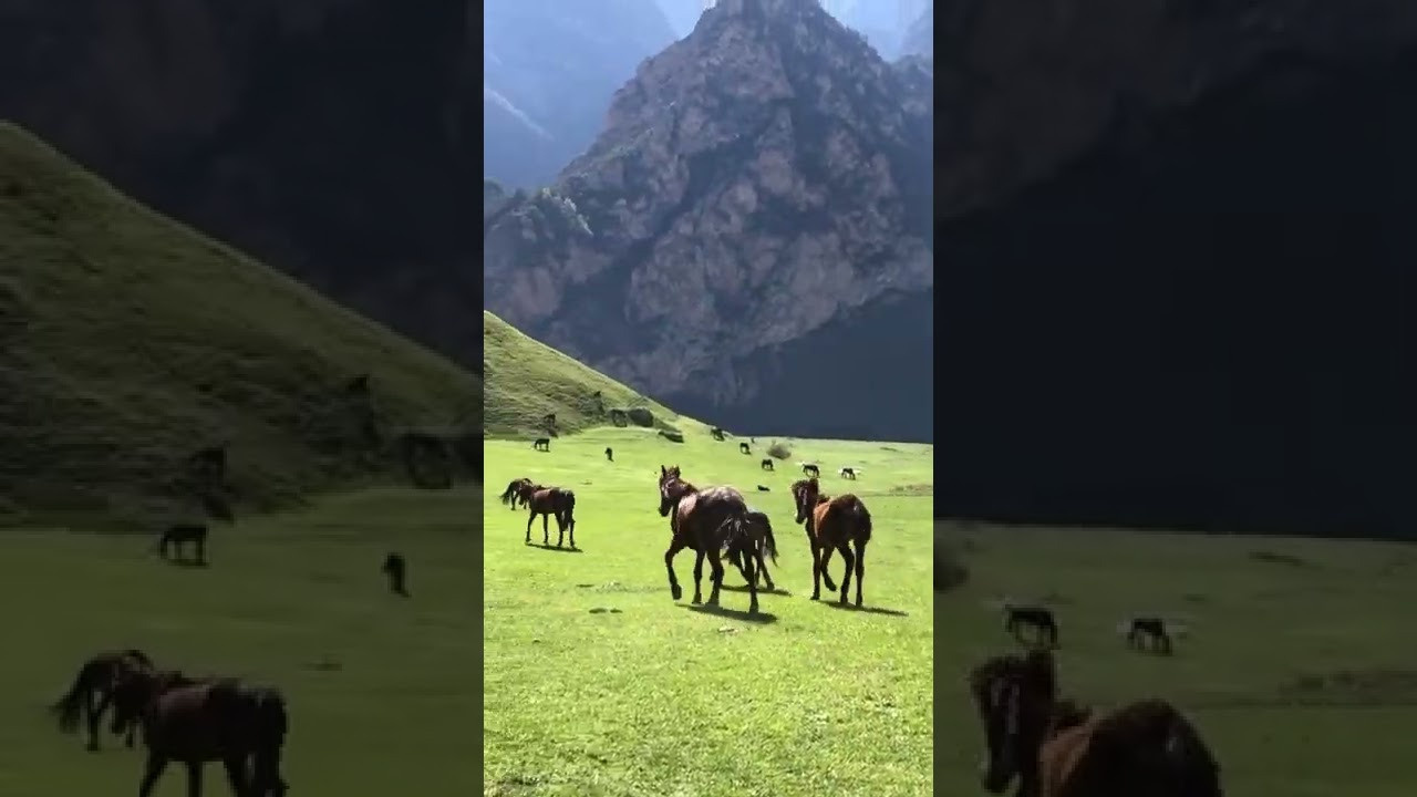 Авторский тур в горы Кабардино-Балкарии. Фотограф Продюсер в горах КБР / Москва  Нальчик Горы