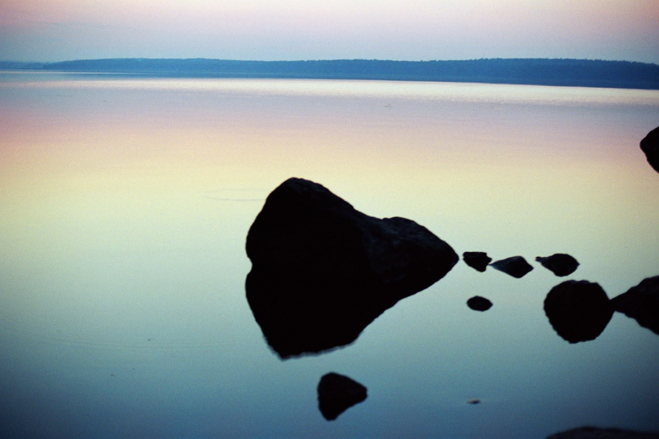 Art Series. Елена Цихон художник фотографии и мастер фото-ДНК