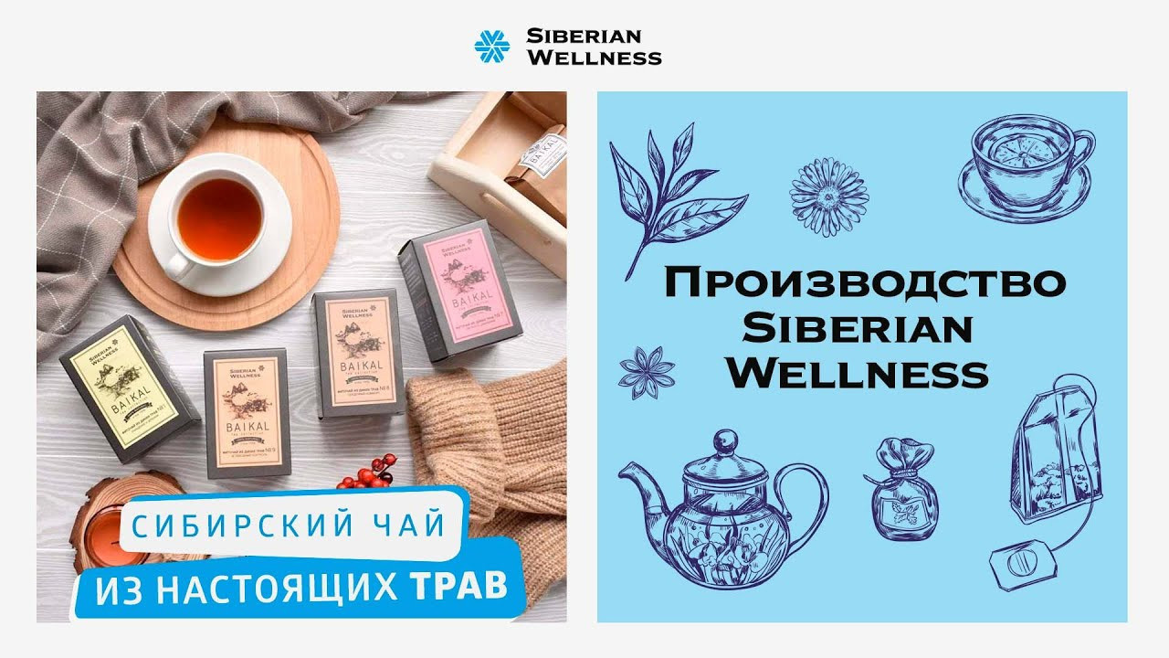Как производят травяные чаи в компании Сибирское здоровье — описание