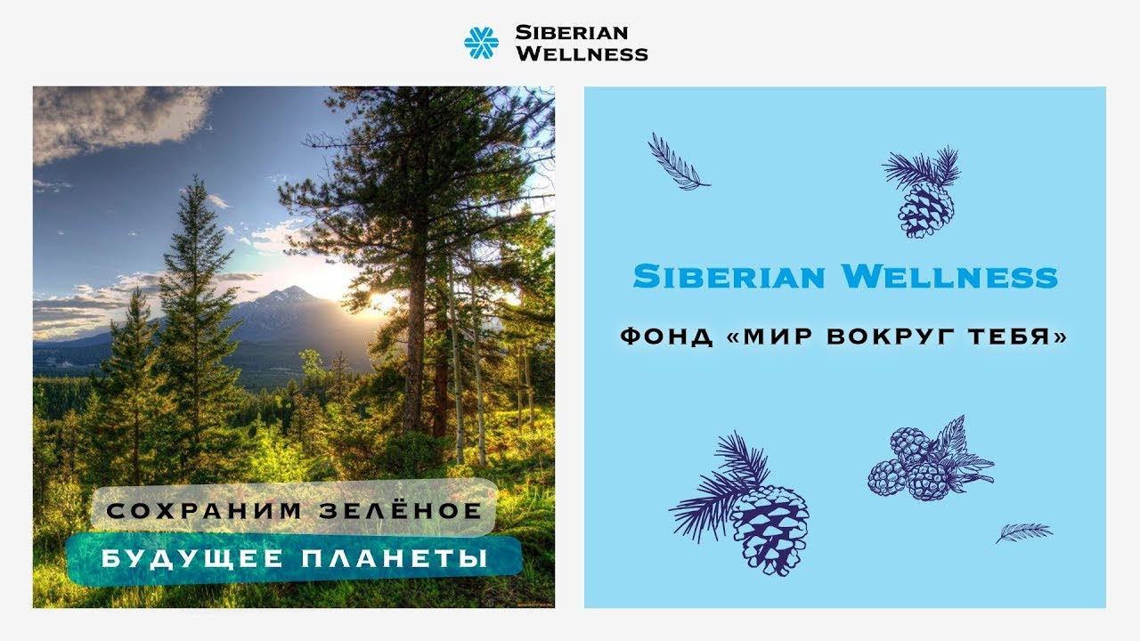 Корпоративный фонд «Мир Вокруг Тебя» компании Сибирское Здоровье