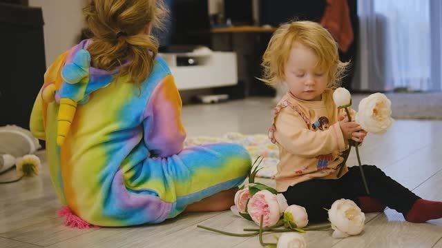 Семейное видео. Семейная фото и видеосъёмка. Брянск