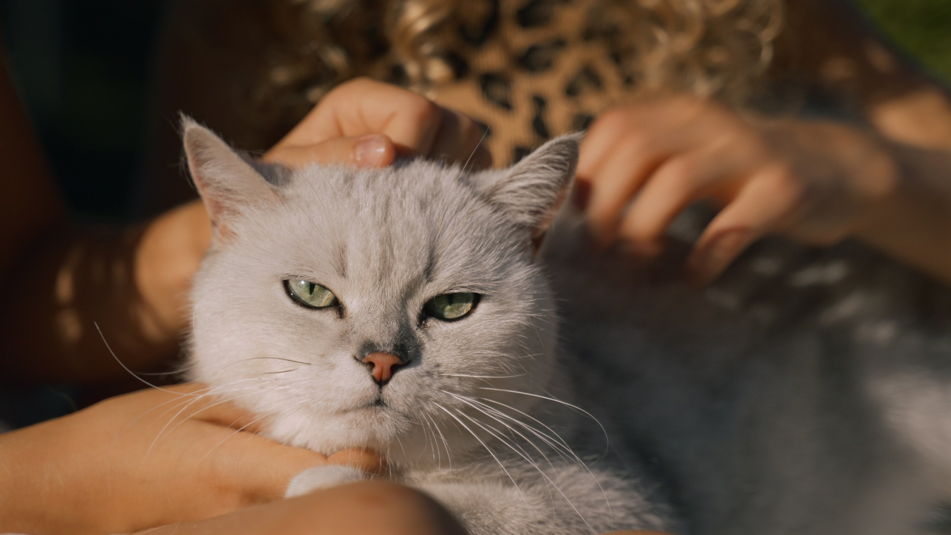 Разное. Портфолио