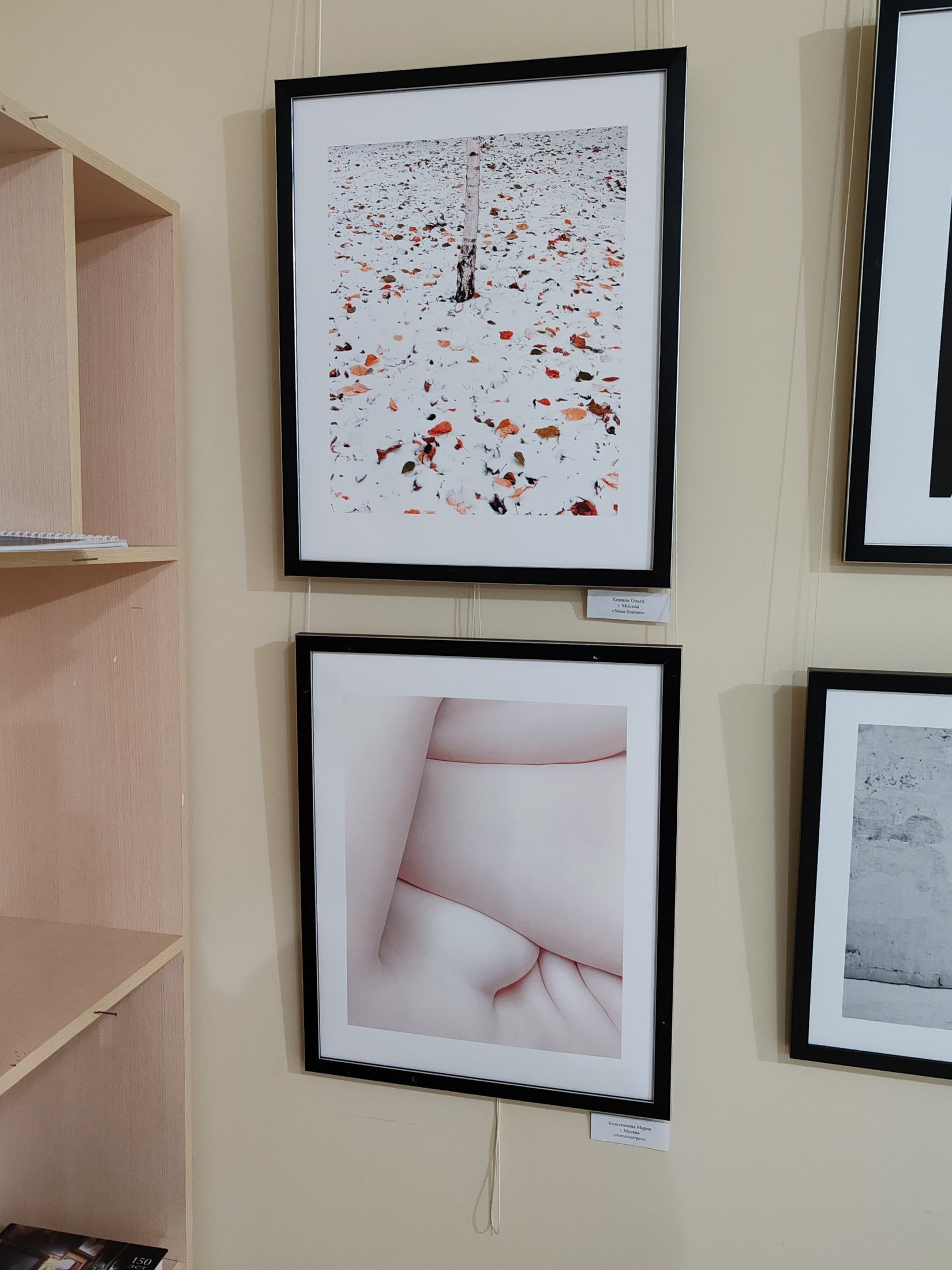 Выставки. Колесникова Мария Арт-фотограф