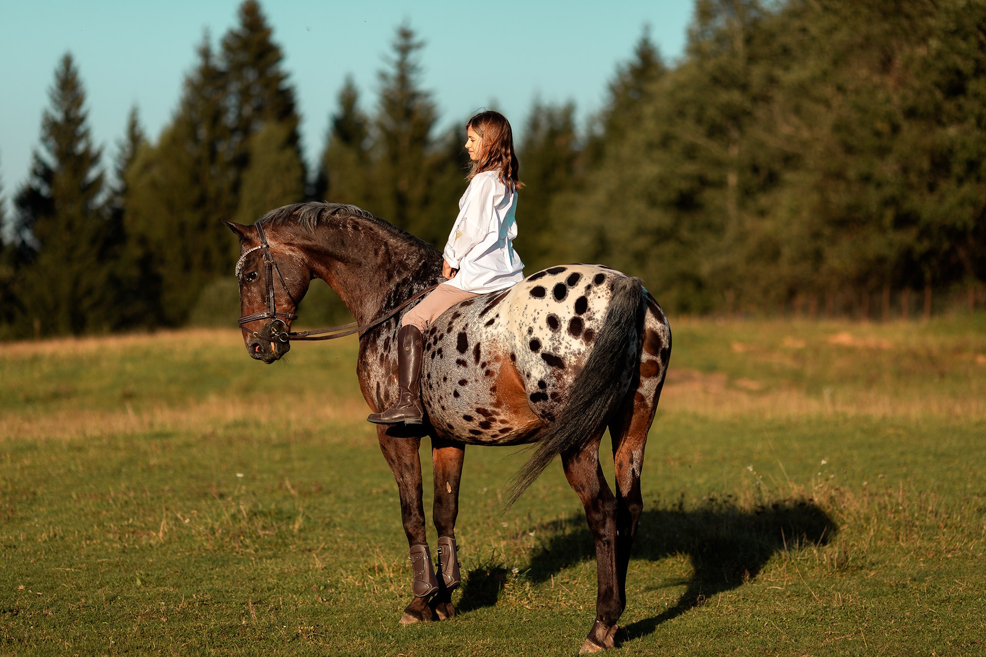 Фотосессии с лошадьми в Москве от Конный фотографа Кутейниковой Светланы