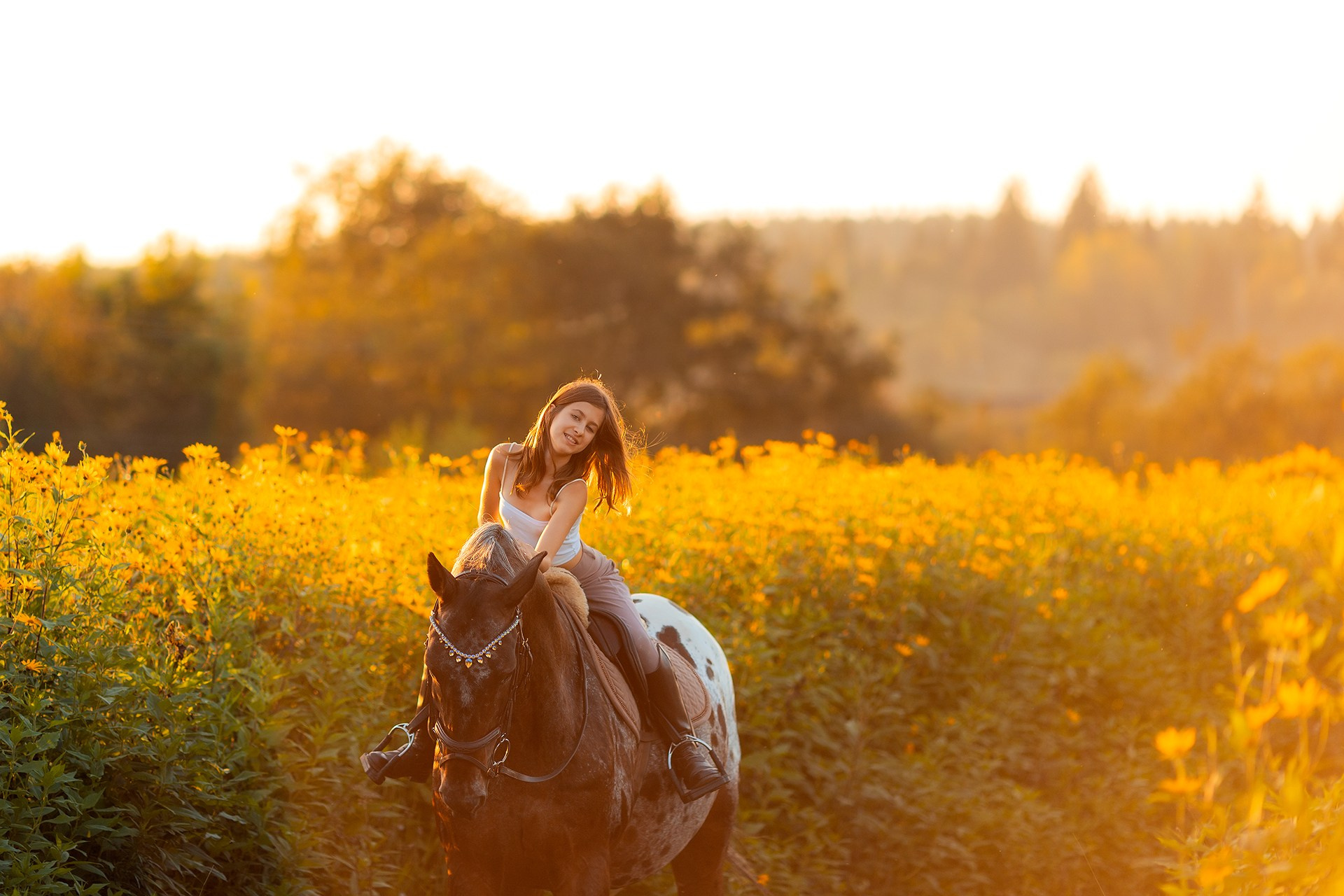 Фотосессии с лошадьми в Москве от Конный фотографа Кутейниковой Светланы