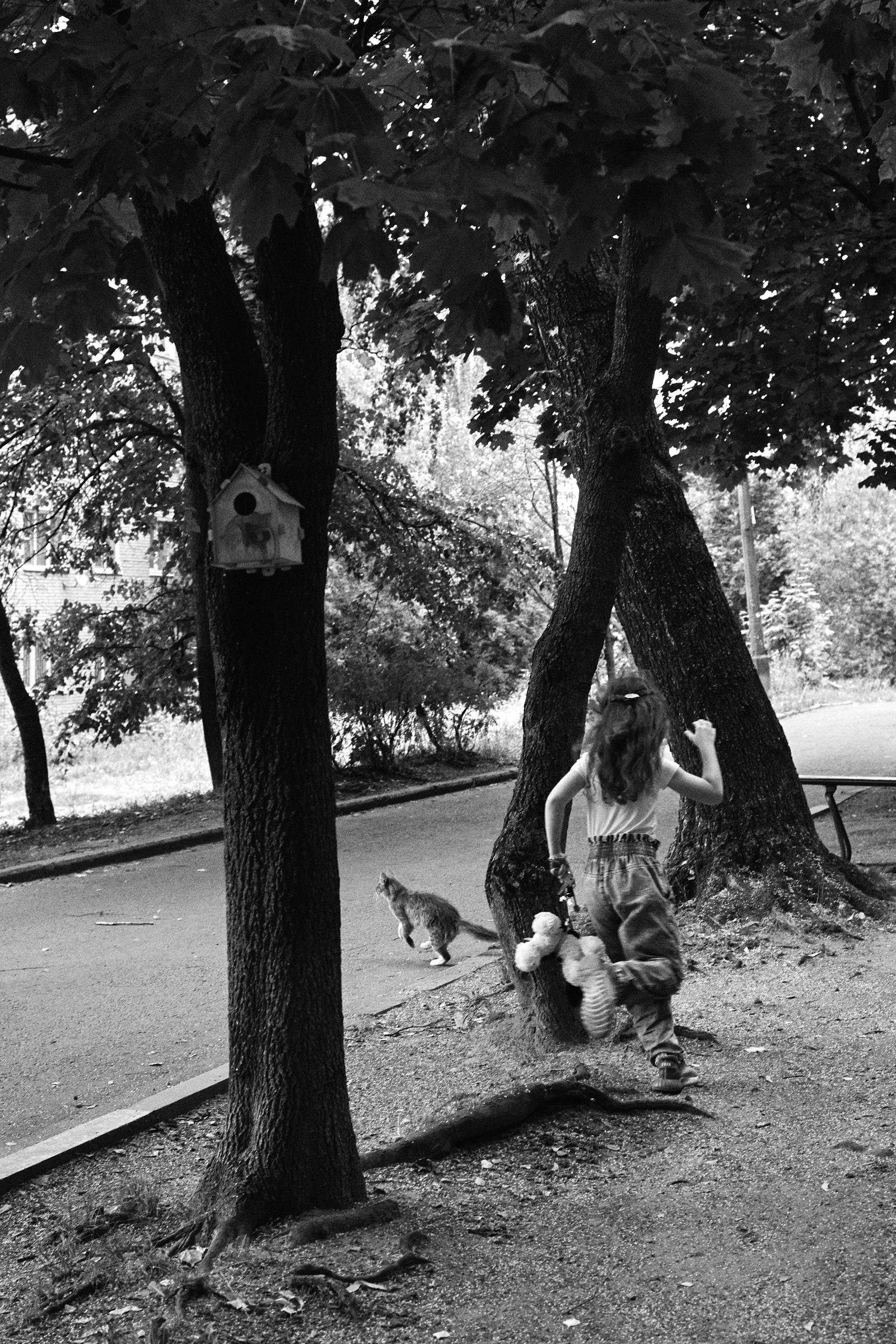 Восемь. Денис Паунин — Фотографии