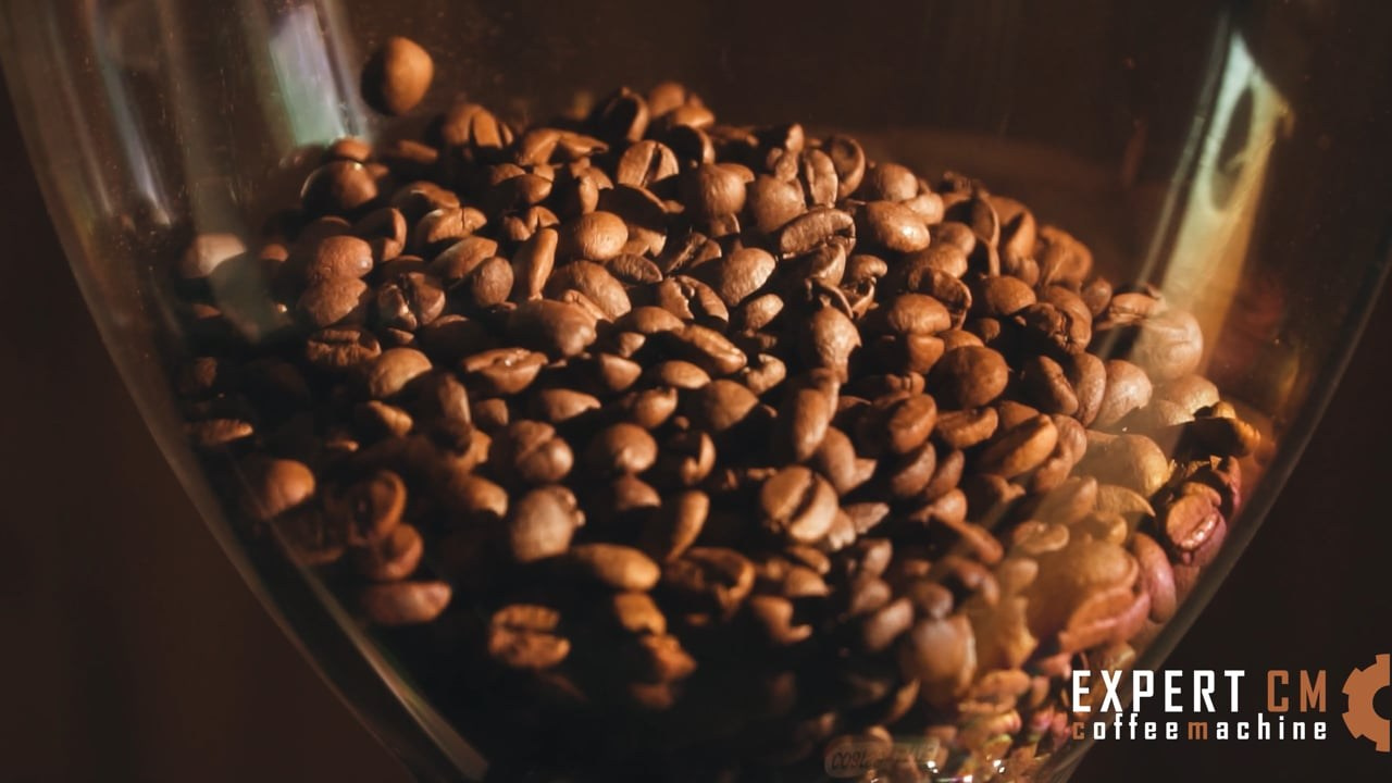 Видеосъёмка в Крыму 2025 / Video shooting in Crimea. Даниил Овчар / Видеооператор