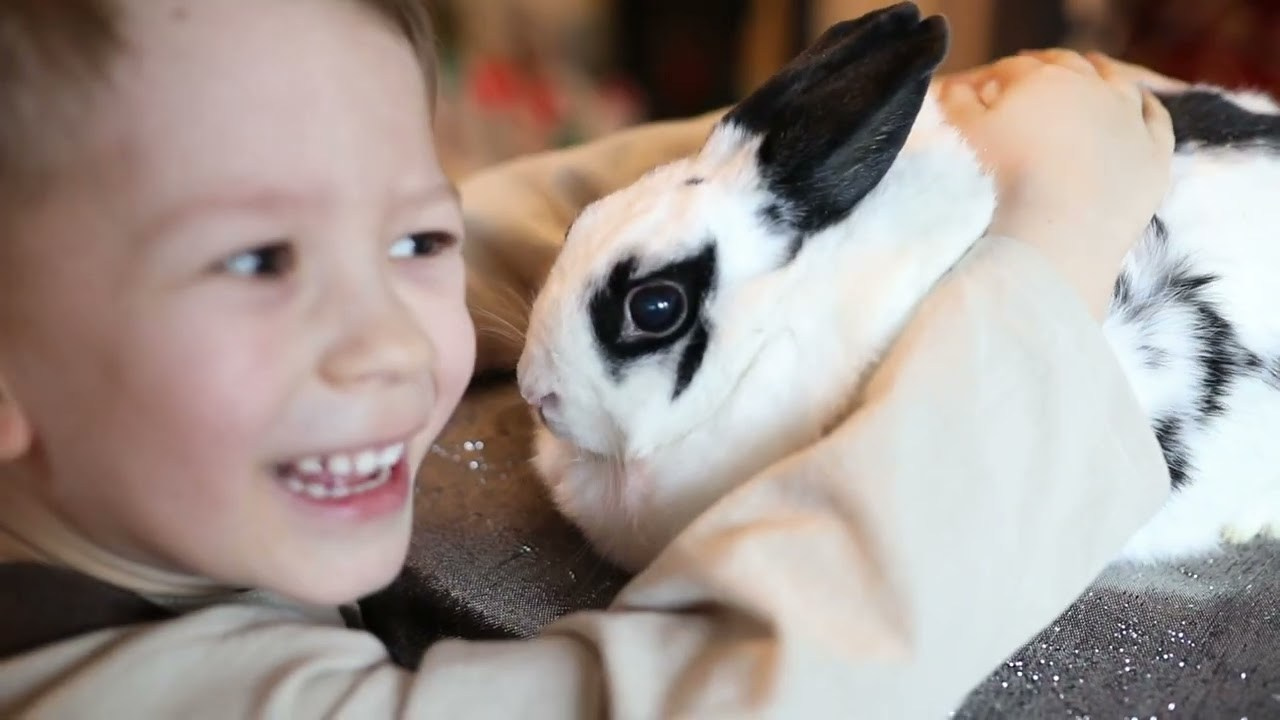Новогодняя фотосессия дома Москва. Семейный фотограф Маша Тимофеева | Москва