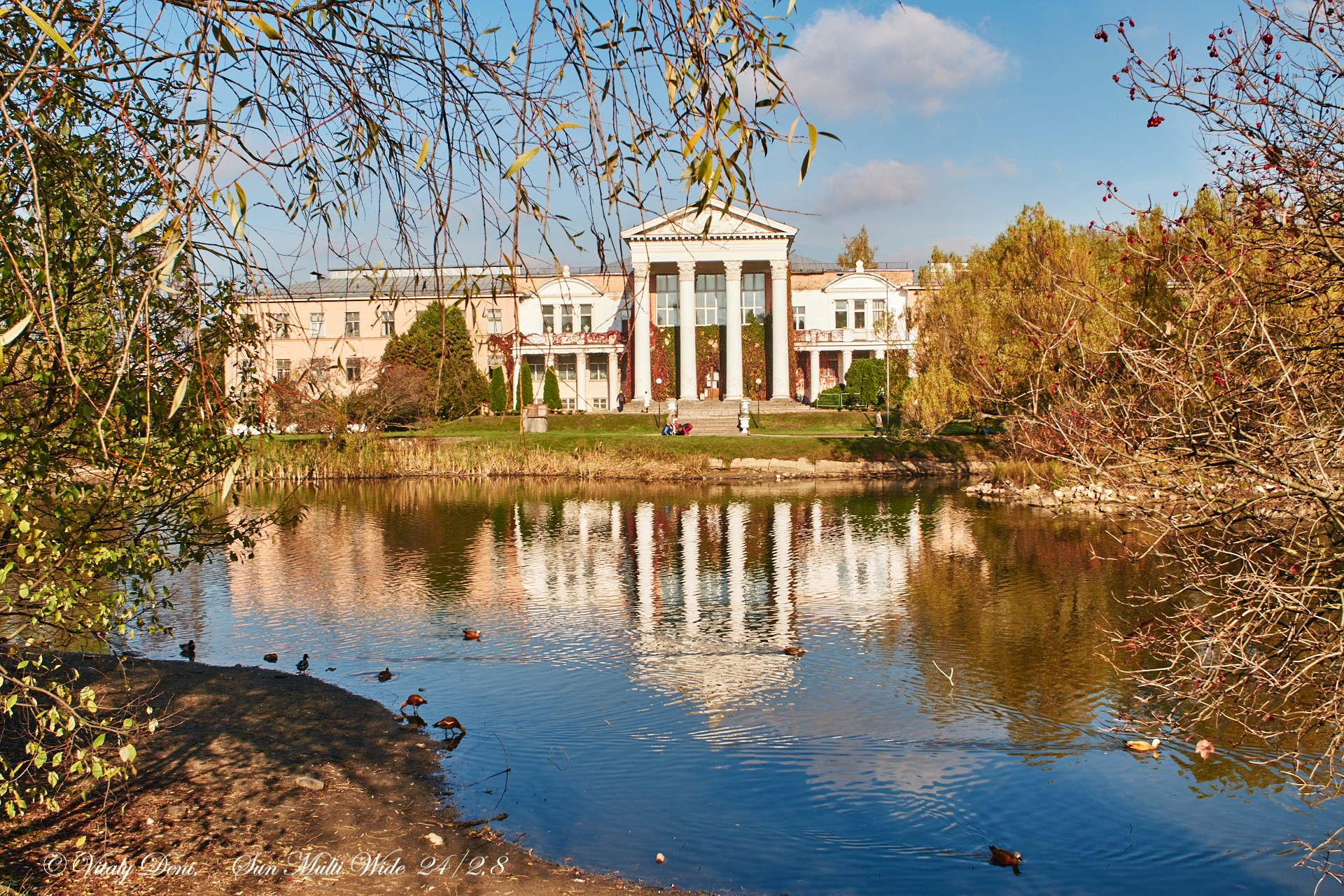 Медитация природы (Пикториализм в природе — 2)