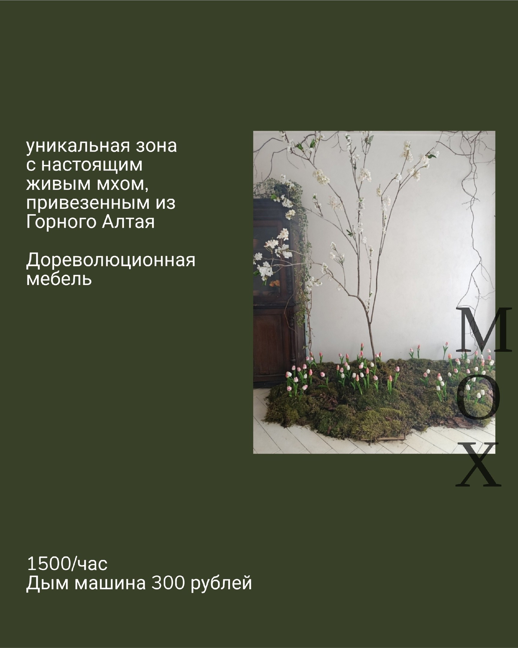 Фотостудии Барнаул. Свадебный репортажный и фуд фотограф в Барнауле Гайфулин Виталий