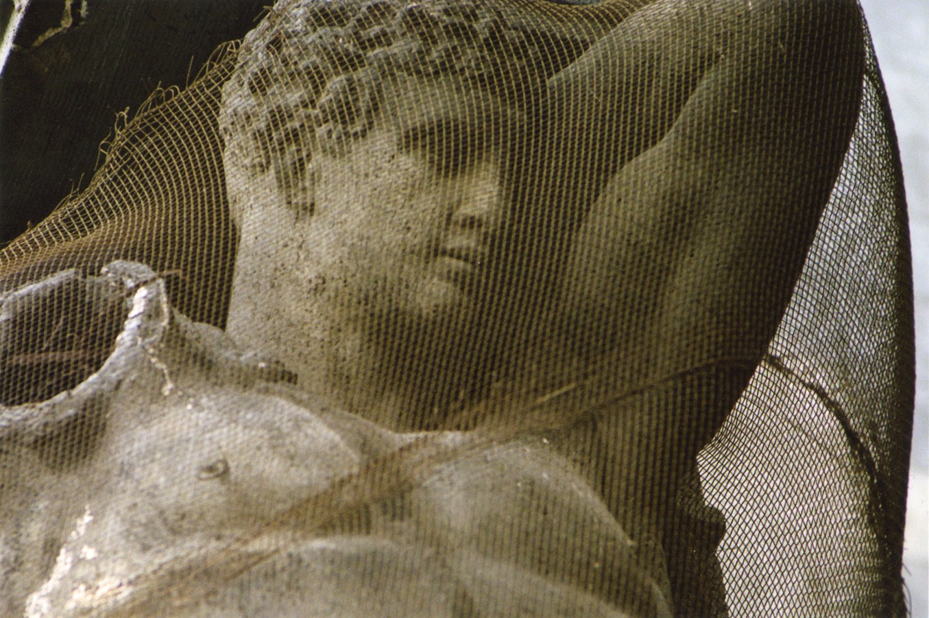 Art Series. Елена Цихон художник фотографии и мастер фото-ДНК