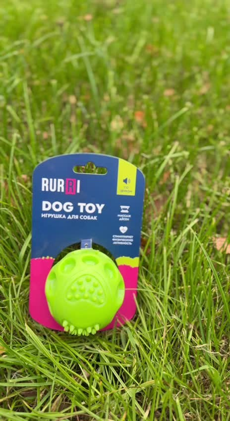 Портфолио «Две совы». Две совы