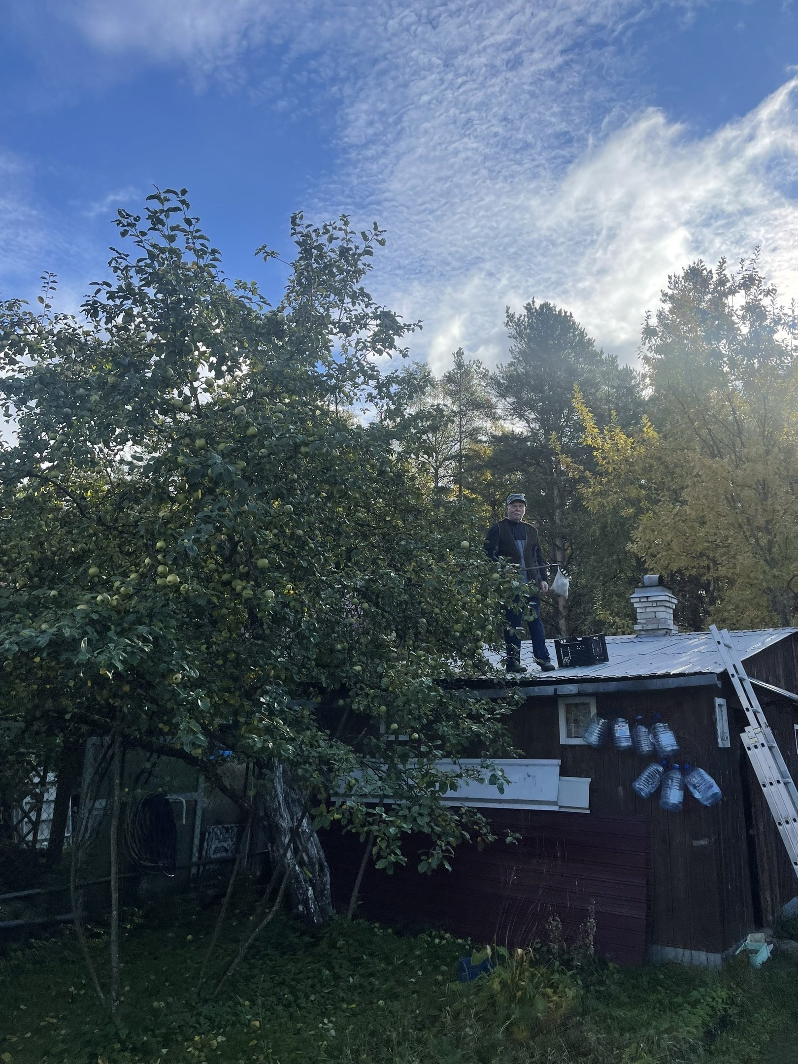 Мусихин Михаил Аркадьевич — сайт памяти о добром и светлом человеке