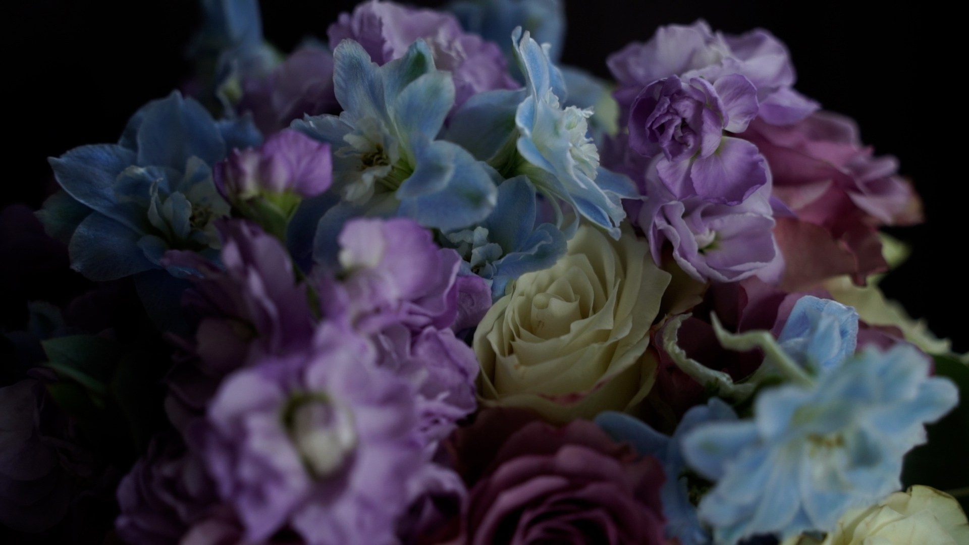 Свадьба Софии и Игоря. Видеограф Осинина Татьяна — видеосъемка в Москве