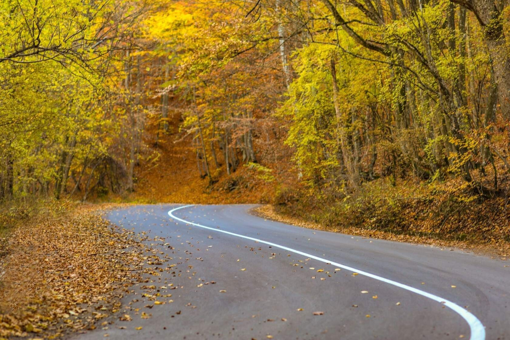 Фотограф Севастополь/Крым Светлана Евтушенко