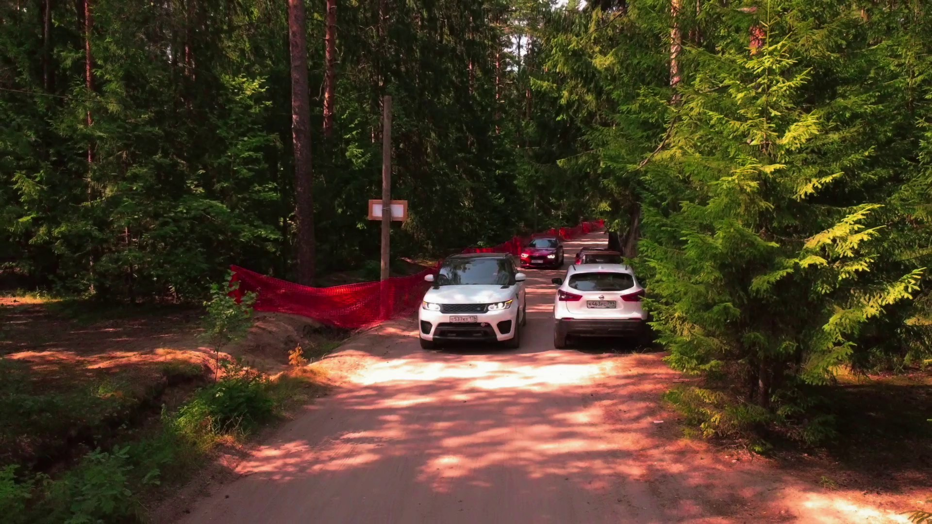 Топ Лес. Графический дизайнер Илья Левченко