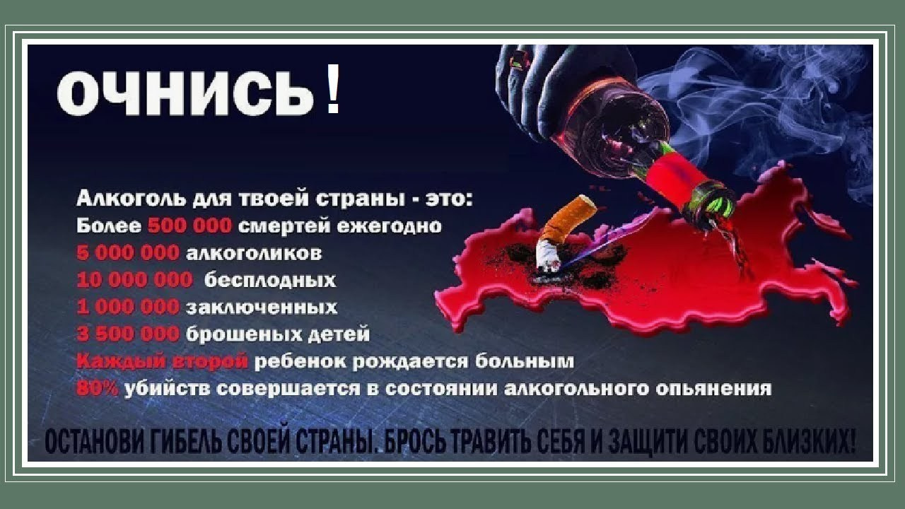 Как убивает алкоголь. Сово-Сово — Омоложение и оздоровление!