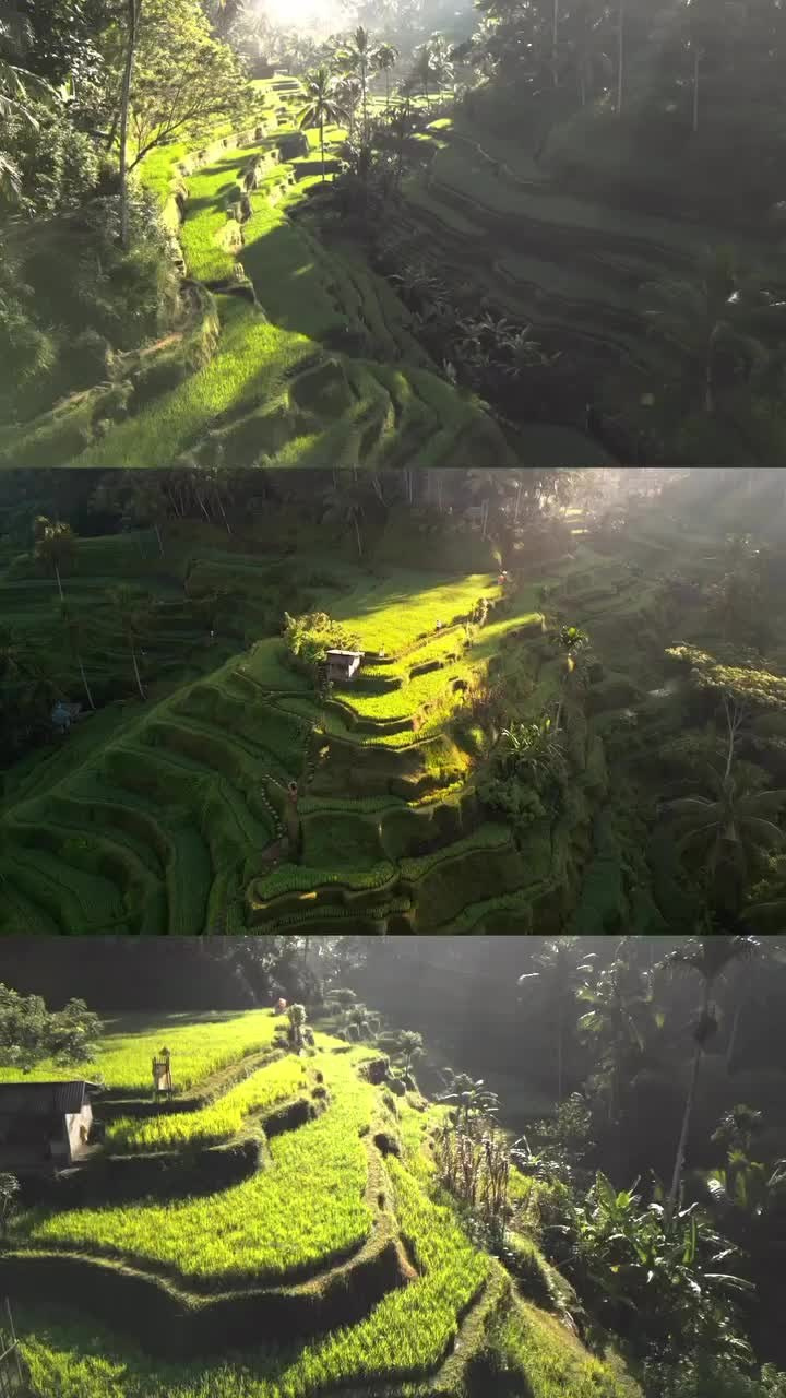 Travel (1). Ларин Валентин. Видеооператор. Cinematographer