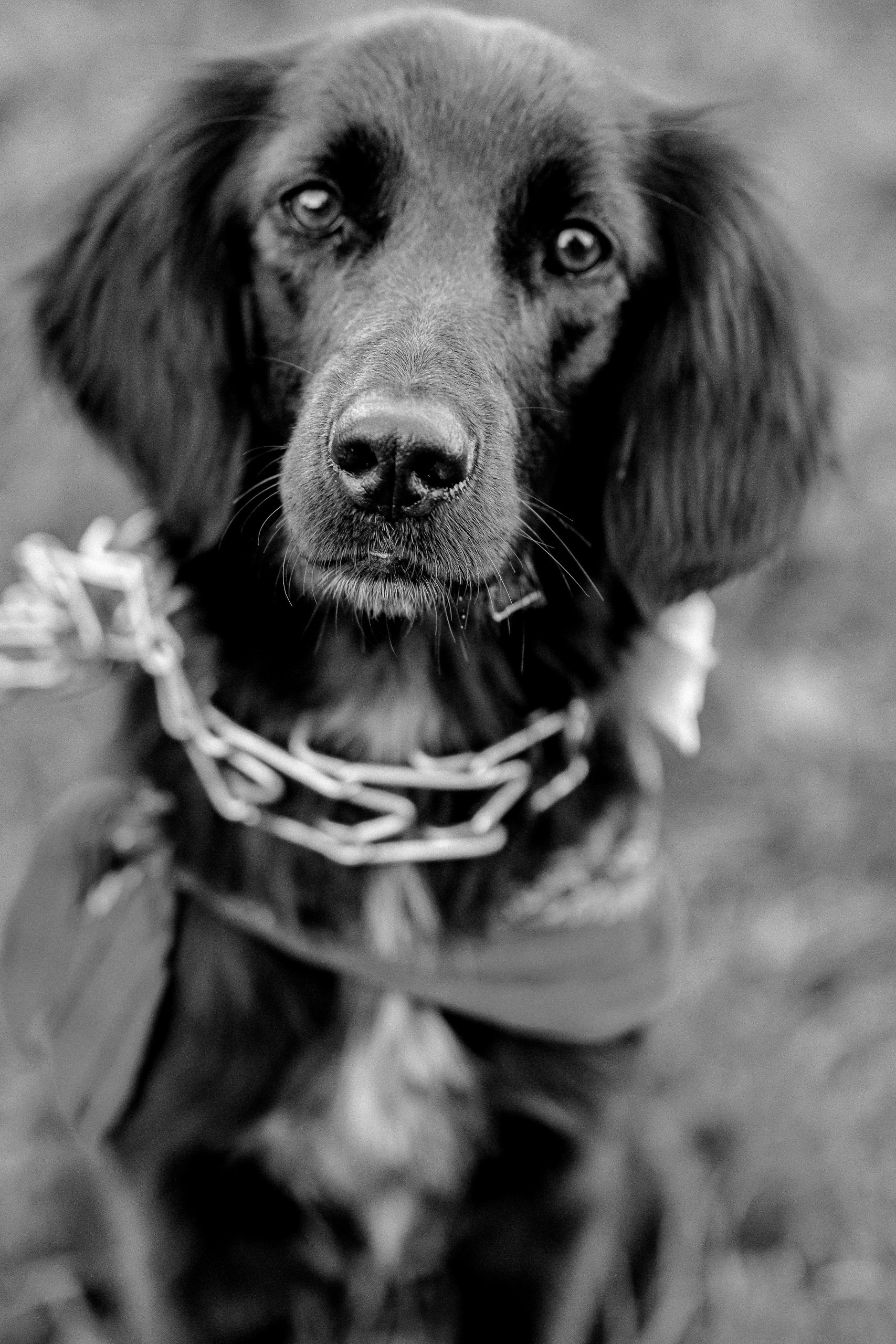 О т з ы в ы. ФОТОГРАФ ЕКАТЕРИНБУРГ