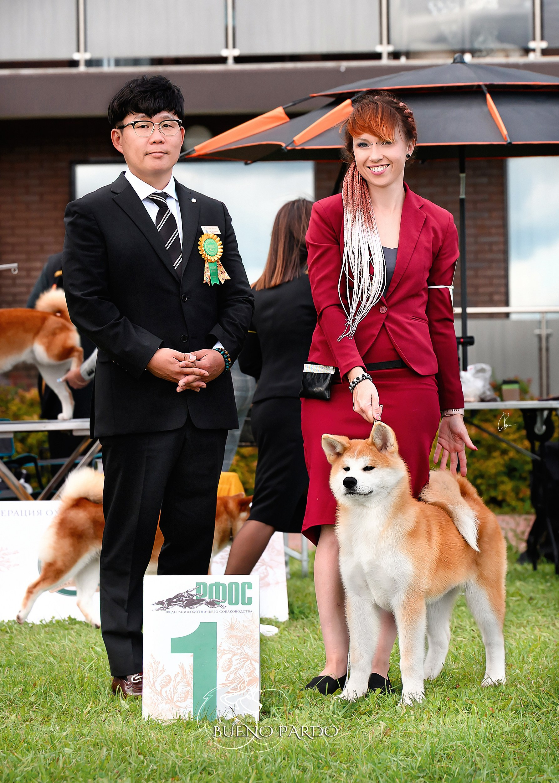 АКИТА. Kawaii Kuma питомник собак пород Корги пемброк, Акита ину, Сиба