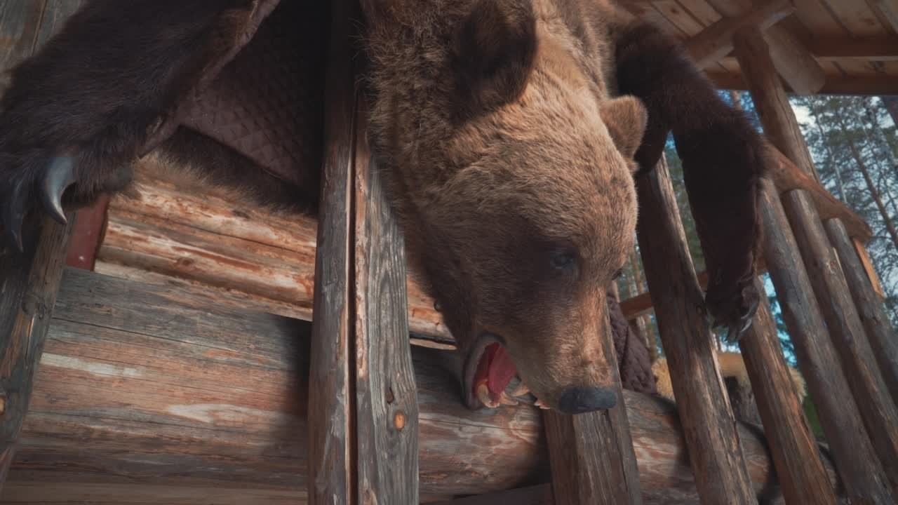 Видеоконтент. Видеограф и фотограф в Екатеринбурге Крисковец Дмитрий