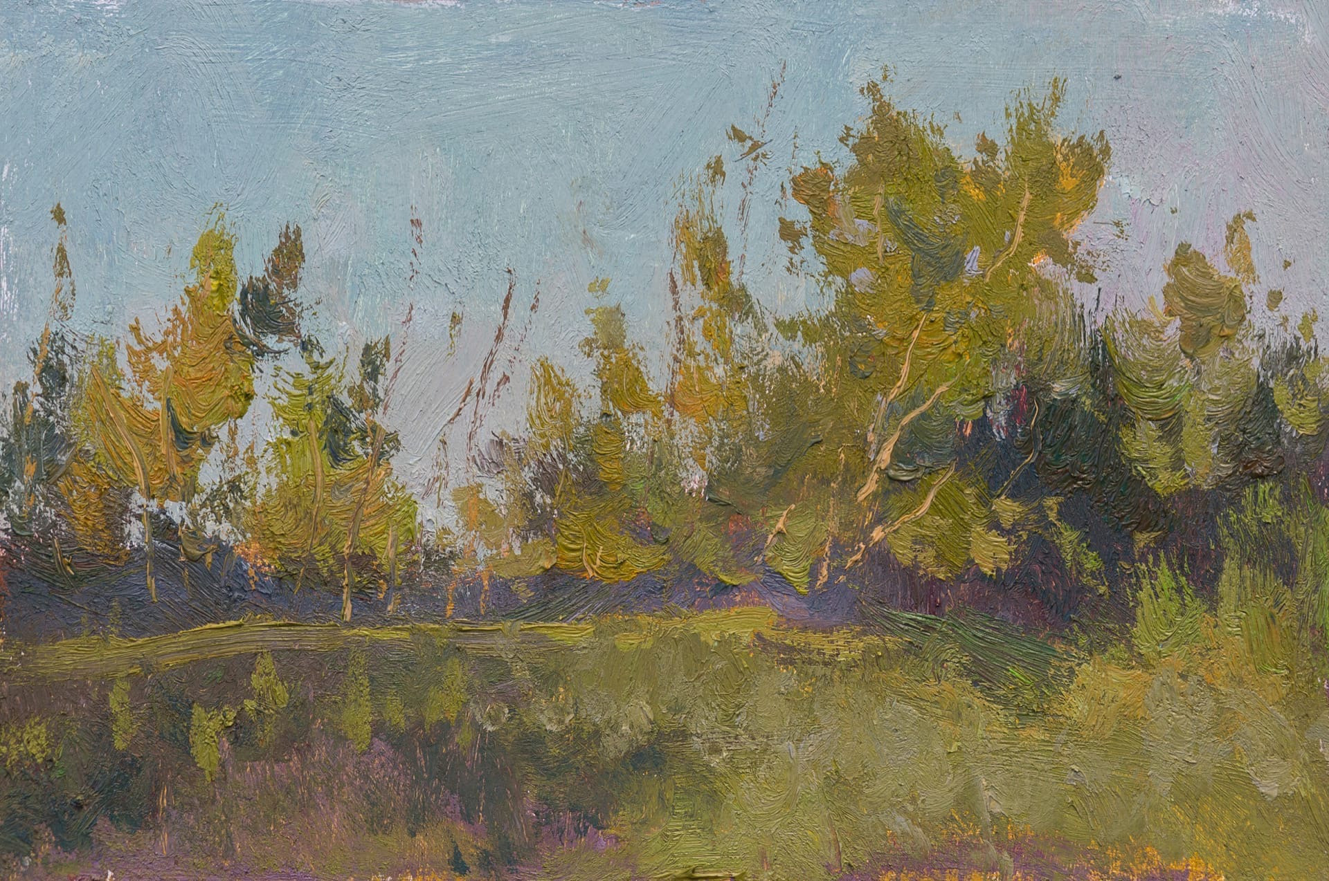 летний вечер