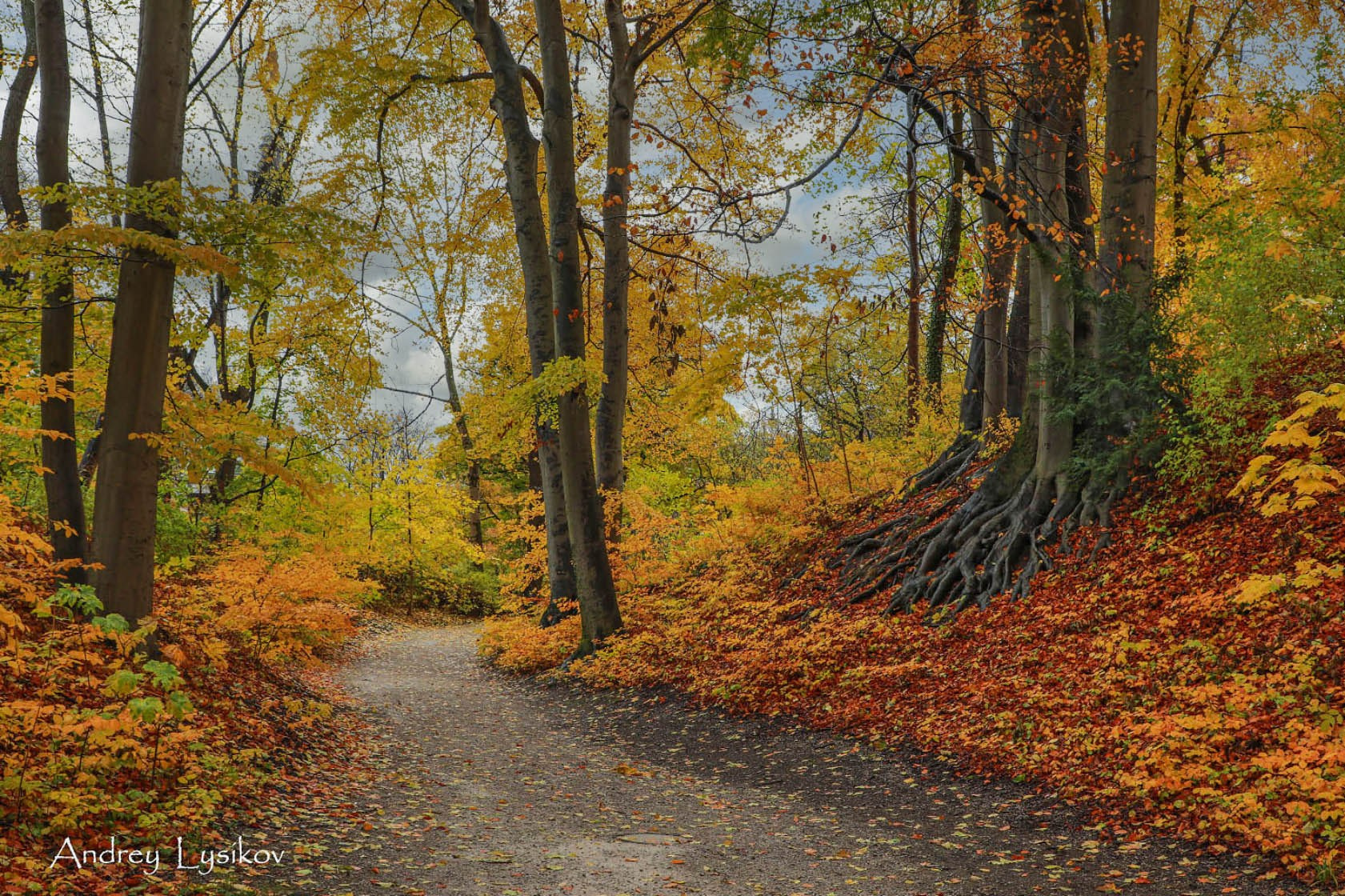 Съемка растений. Интервью для сайта садового центра «Империал Гарден». Ландшафтный фотограф Андрей Лысиков, Москва