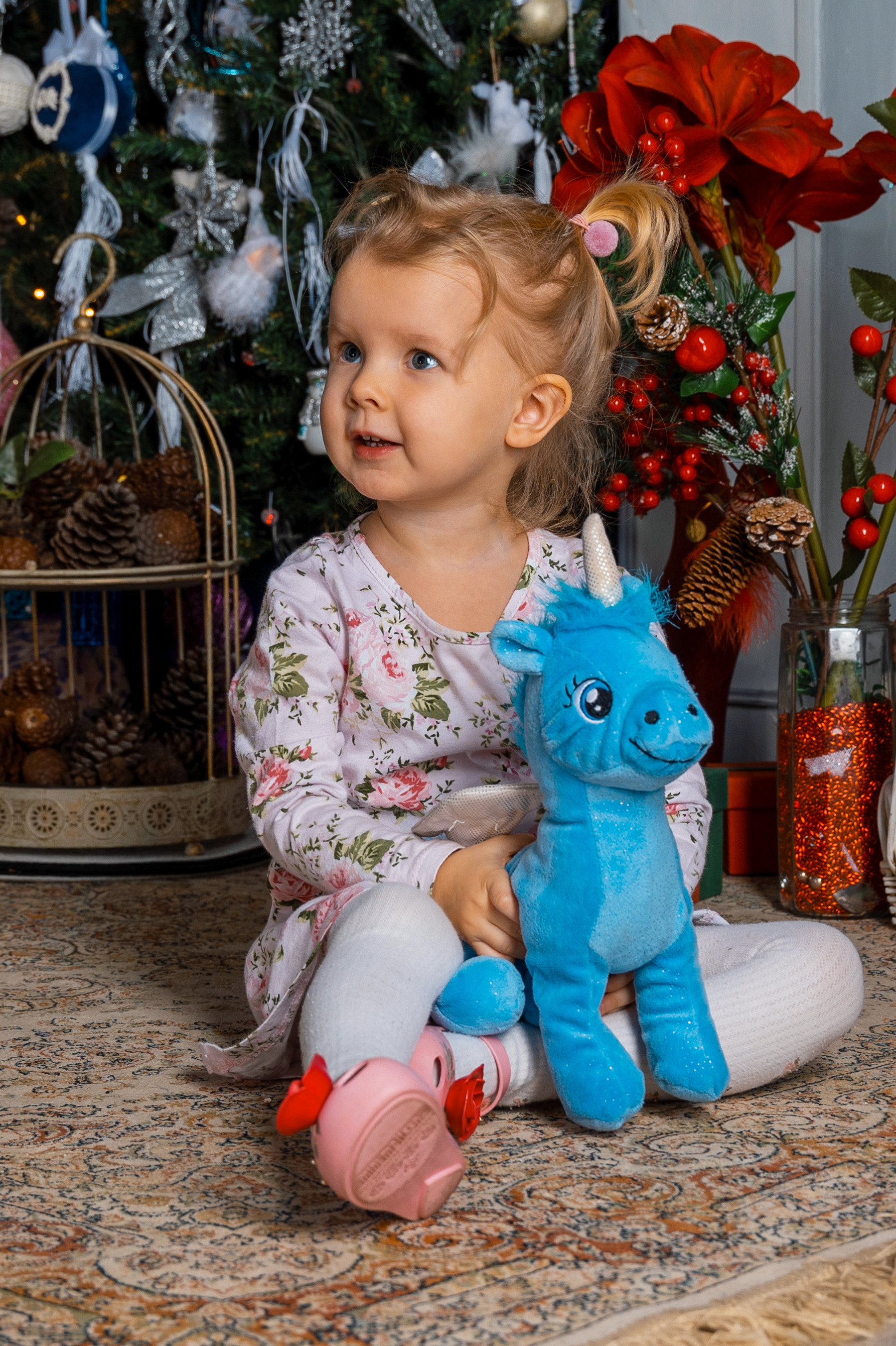 Фотограф Владимир Роля