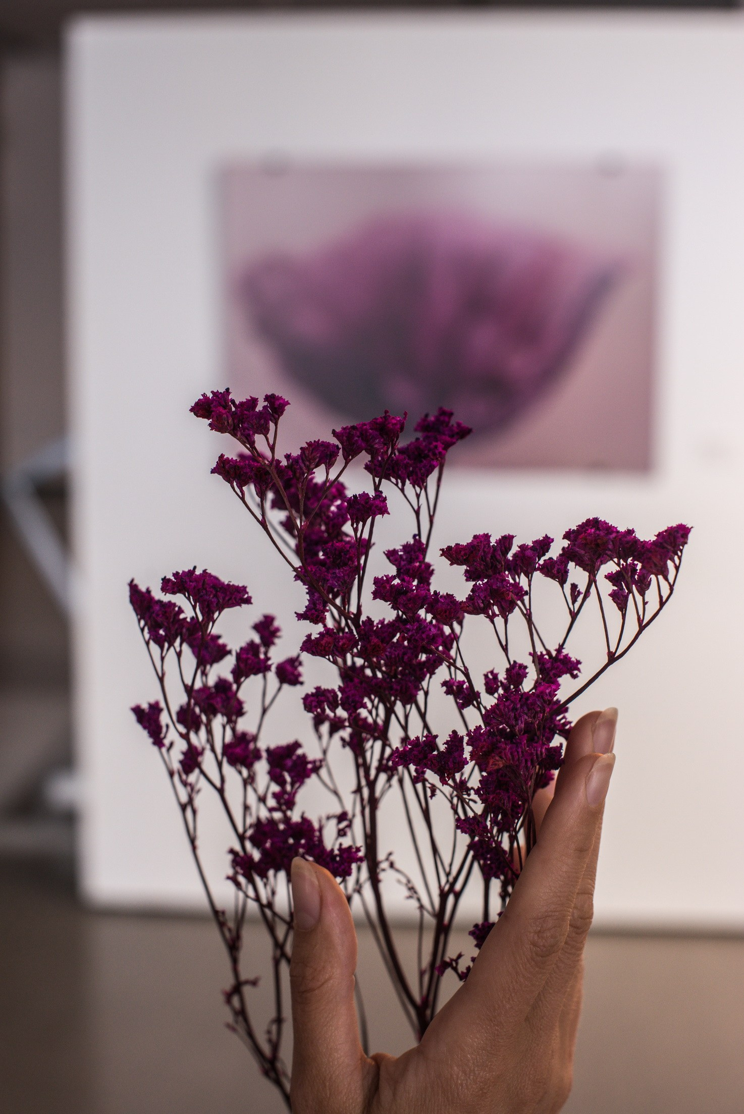 Abstract Art Exhibition. Photographer Aleksandr Rybintsev