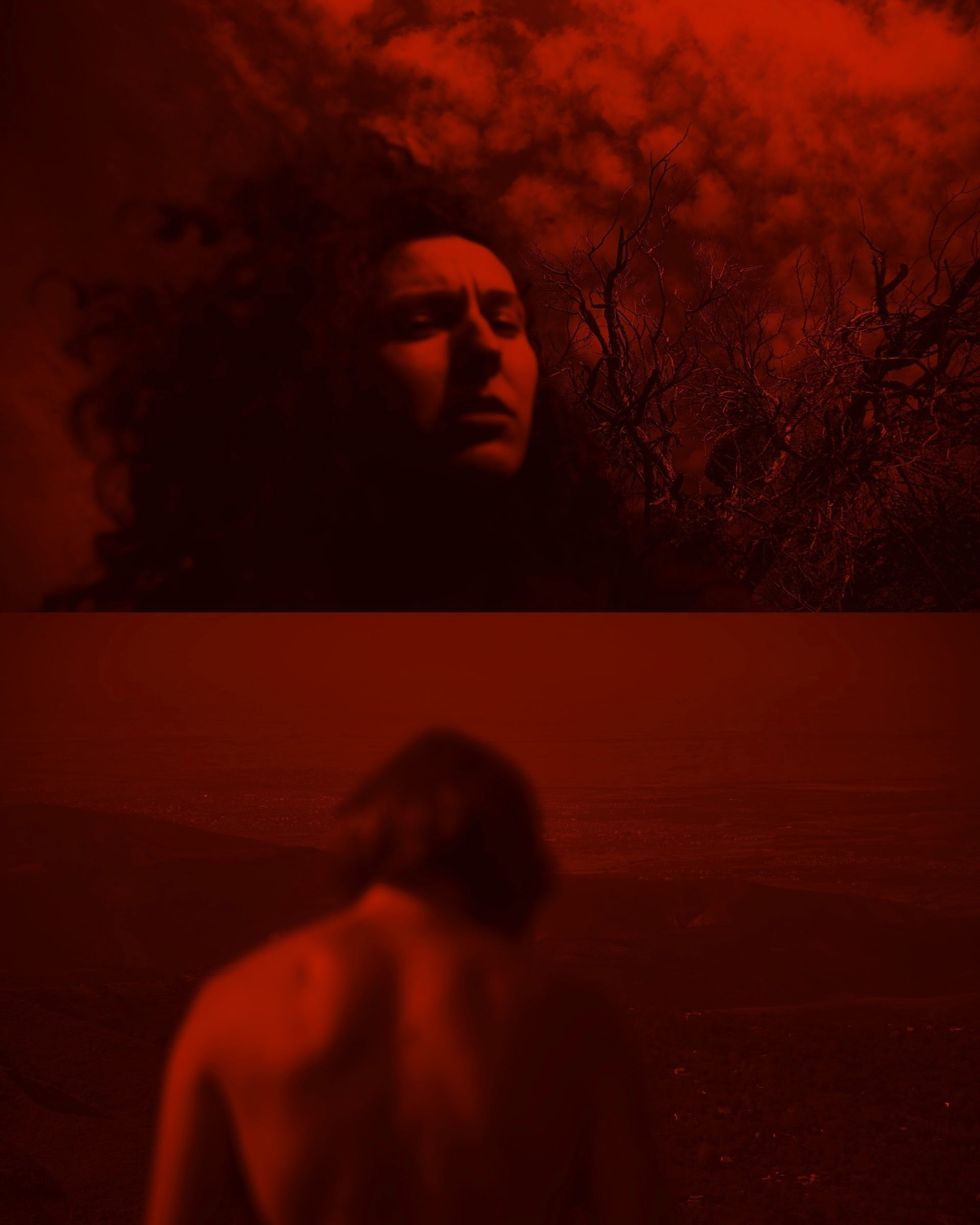 Яблоко. Катерина Малама арт-фотограф