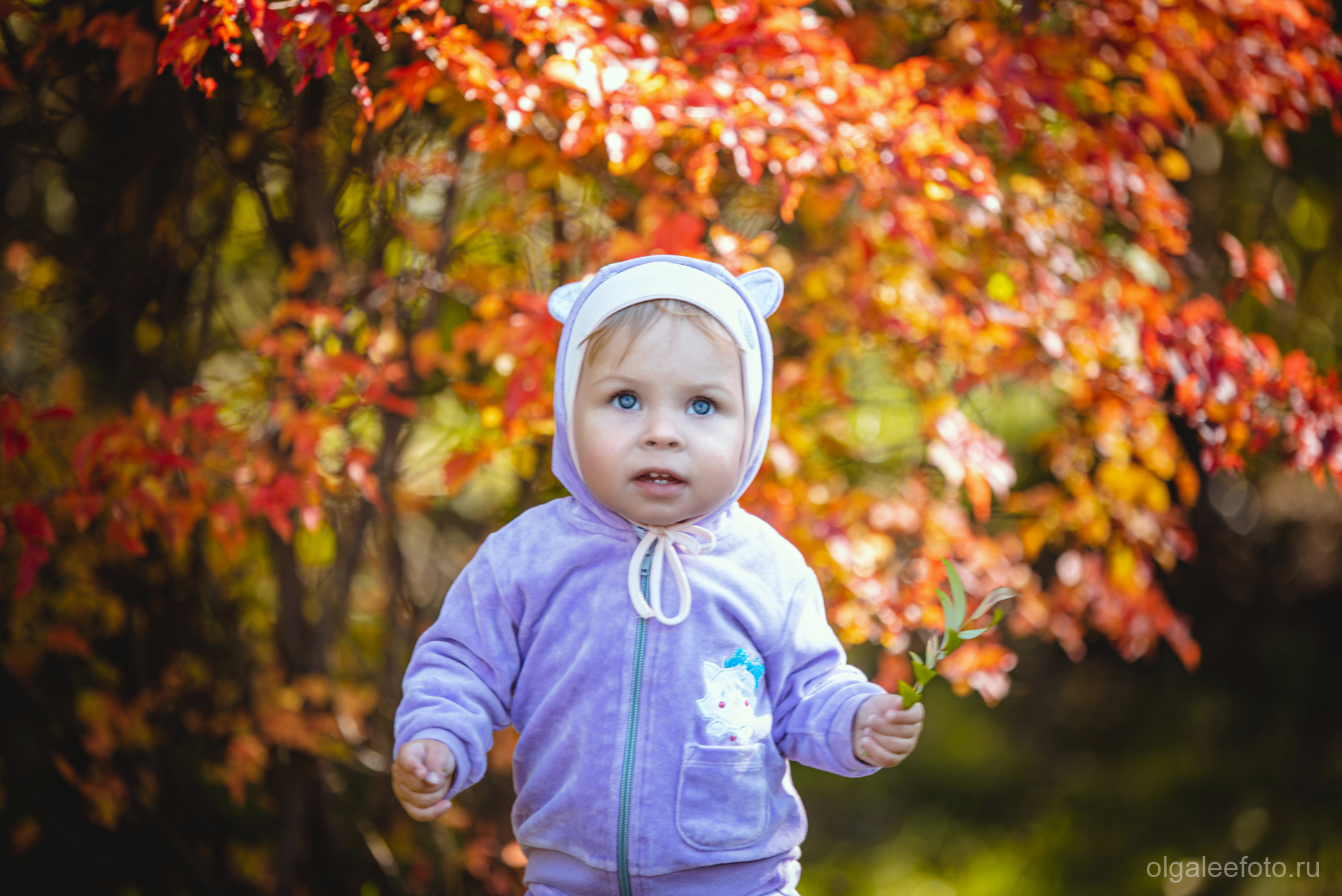 Семейная осенняя прогулка. Ольга Ли свадебный семейный фотограф Иркутск