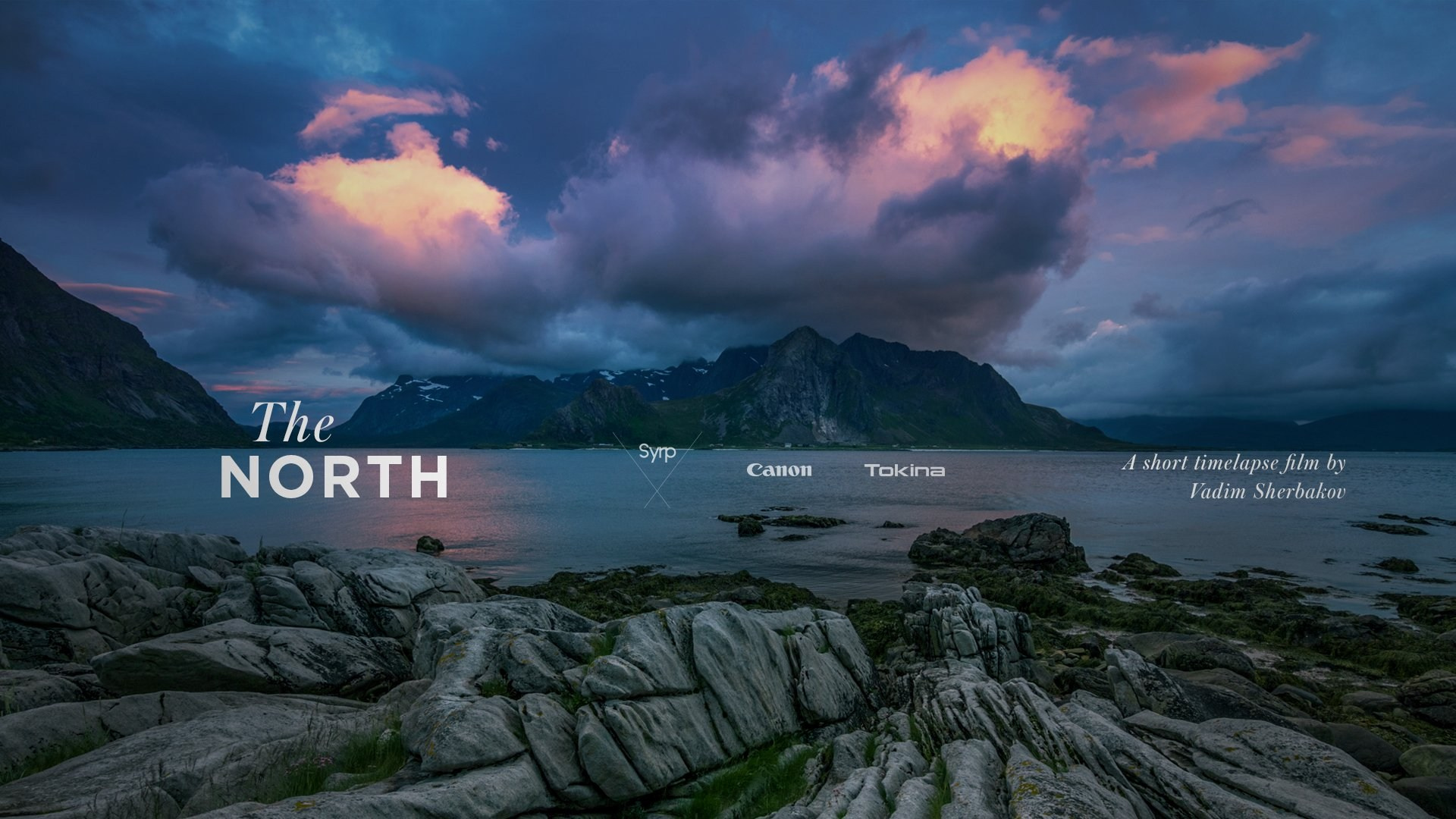 The North. Short films by Vadim Sherbakov