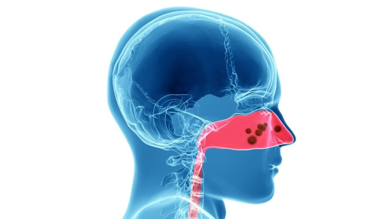 Готовые курсы приема продукции компании Сово-Сова. Сово-Сово — Омоложение и оздоровление!