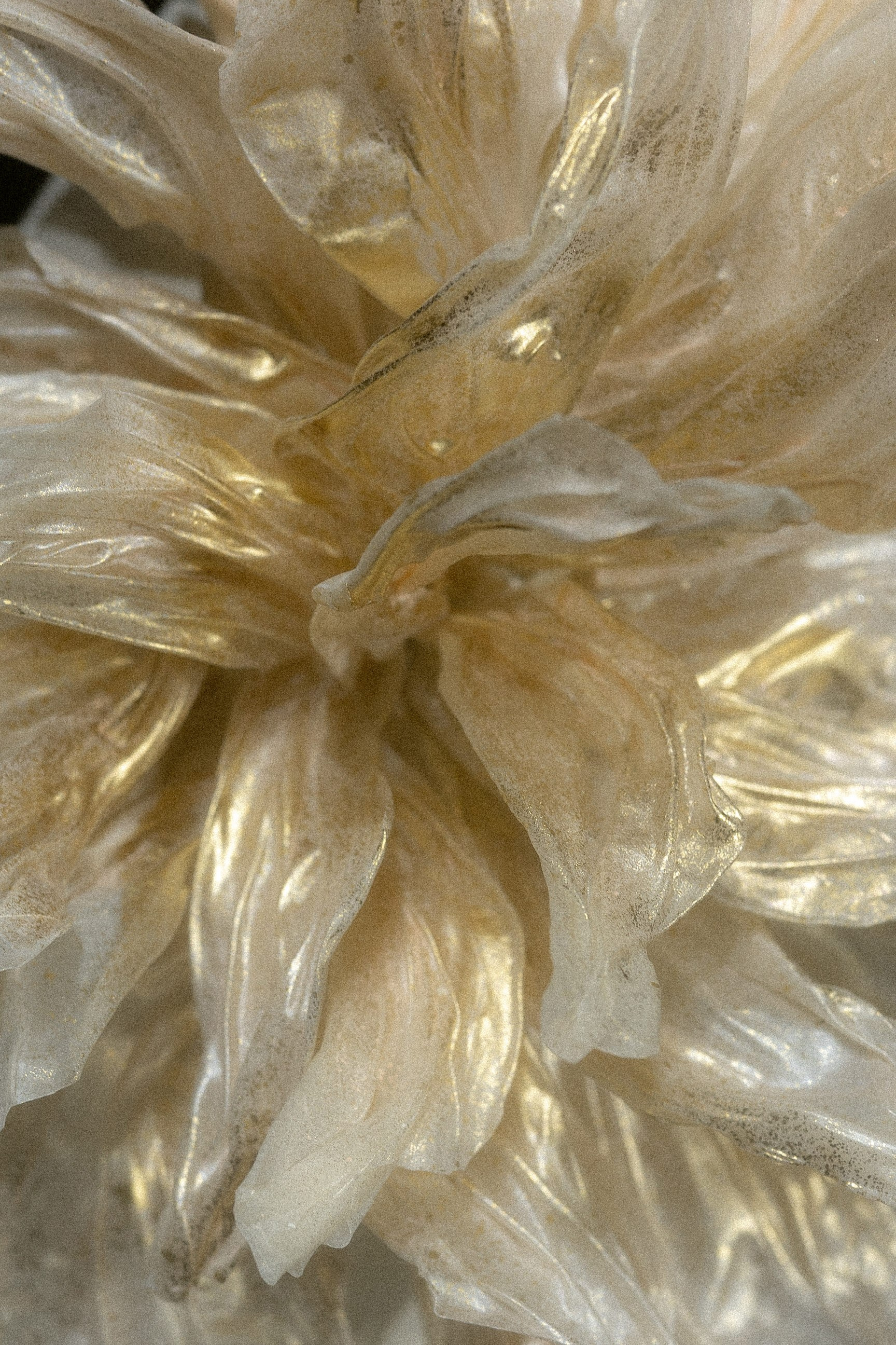 Анна & Андрей. Yura Rush Свадебный фотограф Тюмень