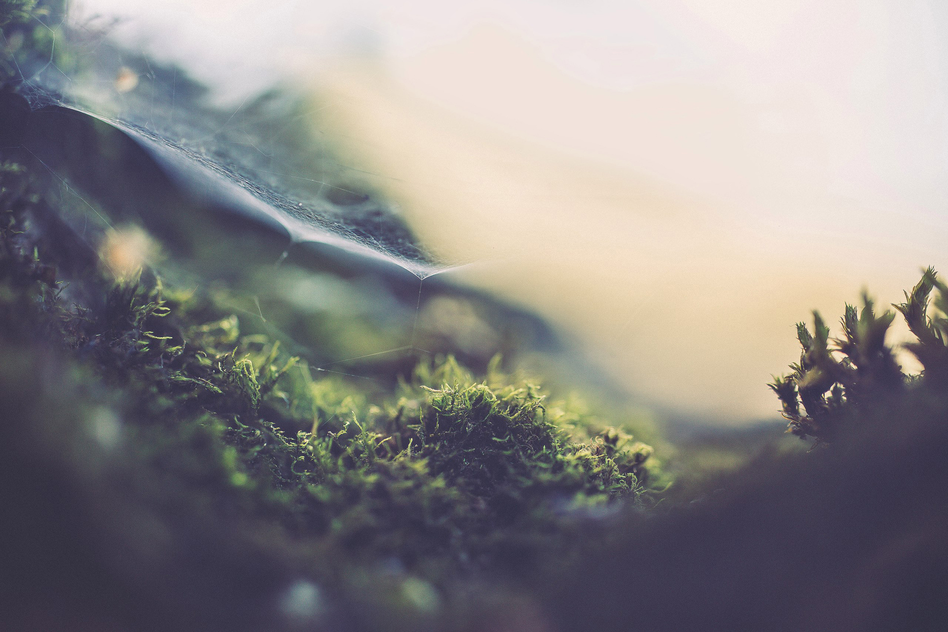 Evgeny Pelevin. Photographer. Industry, reporting, weddings, portrait