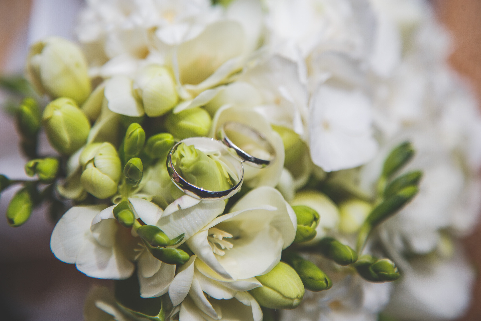 Evgeny Pelevin. Photographer. Industry, reporting, weddings, portrait