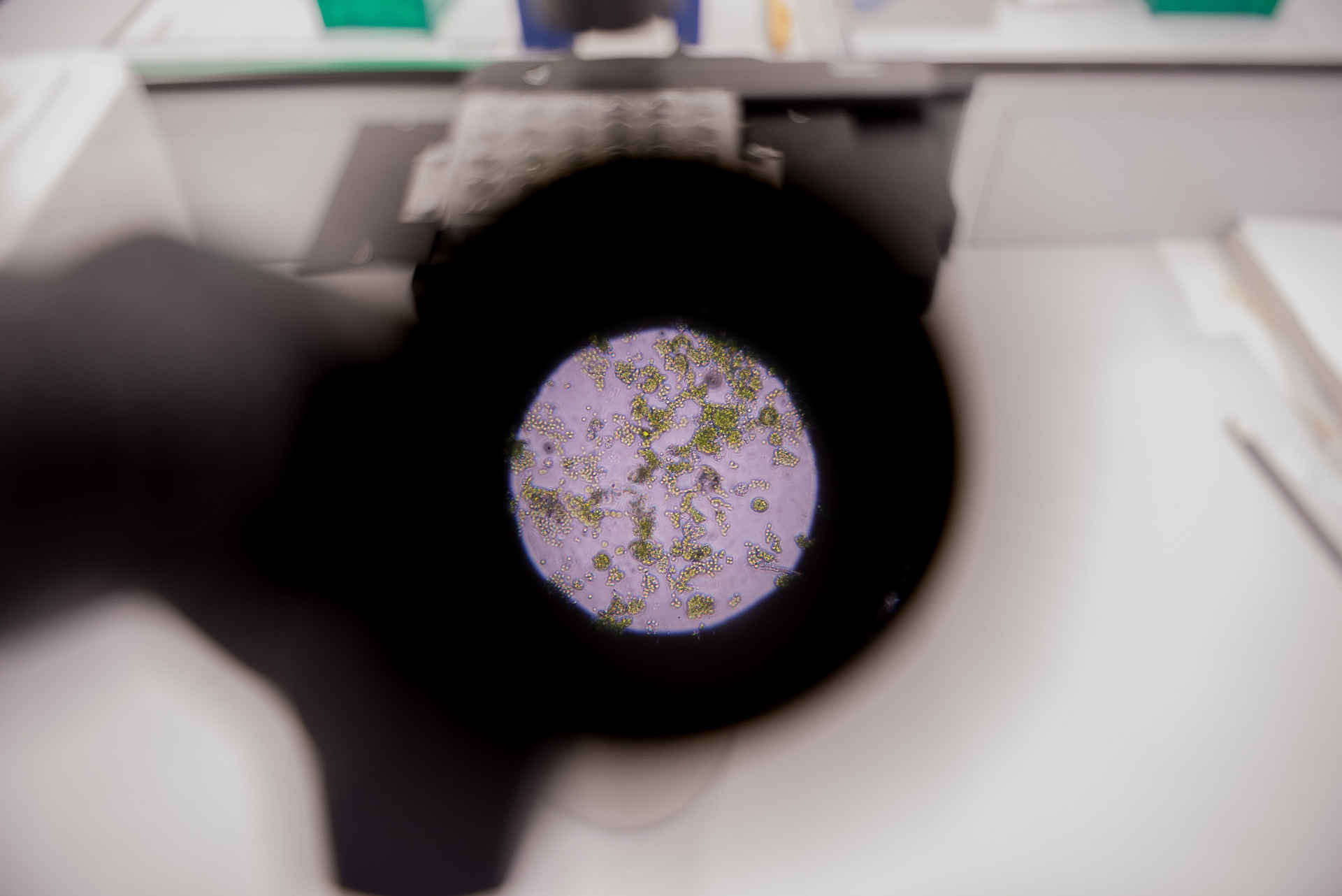 Evgeny Pelevin. Photographer. Industry, reporting, weddings, portrait