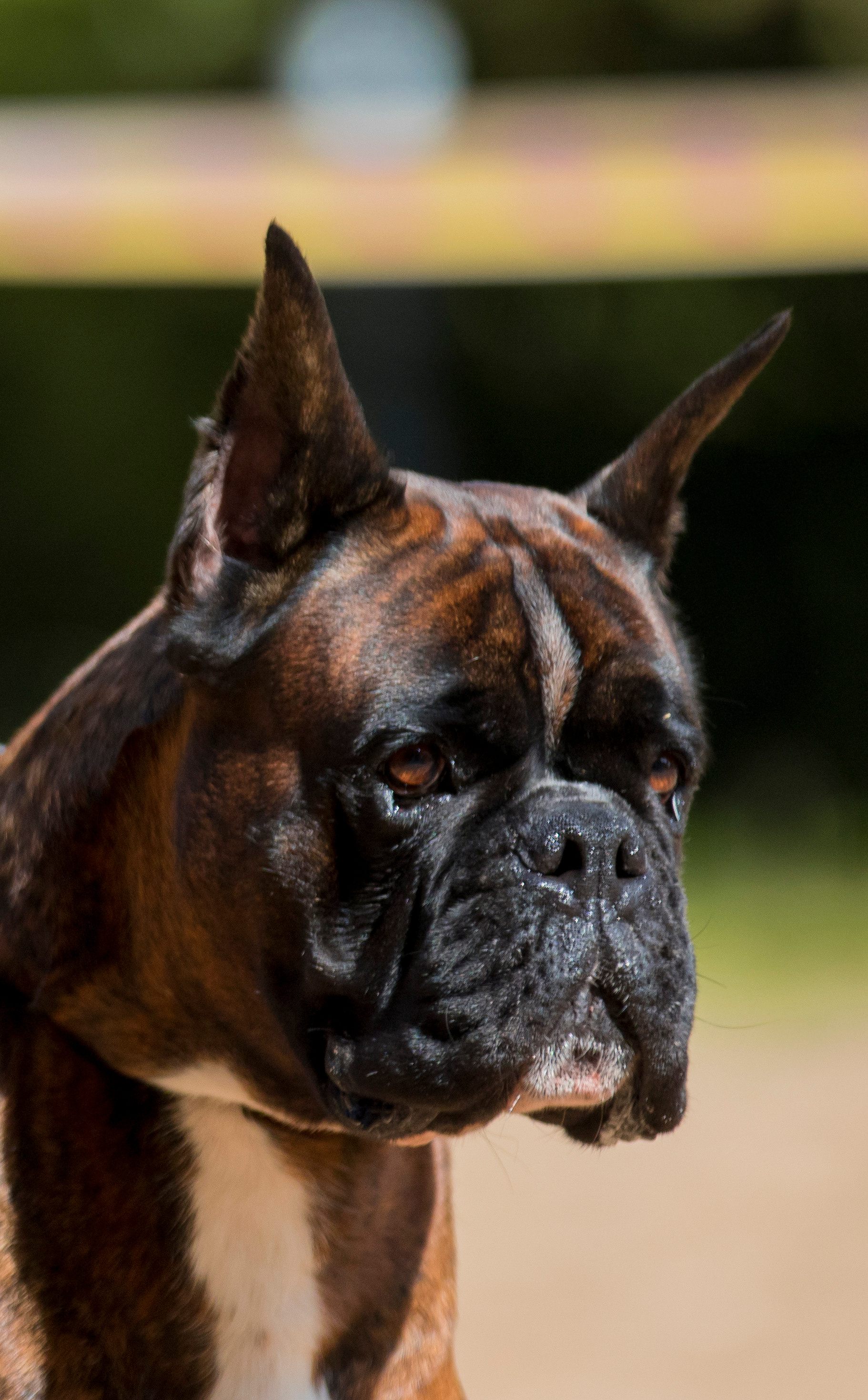 Сфера-Ховрино 29-30.07.2023