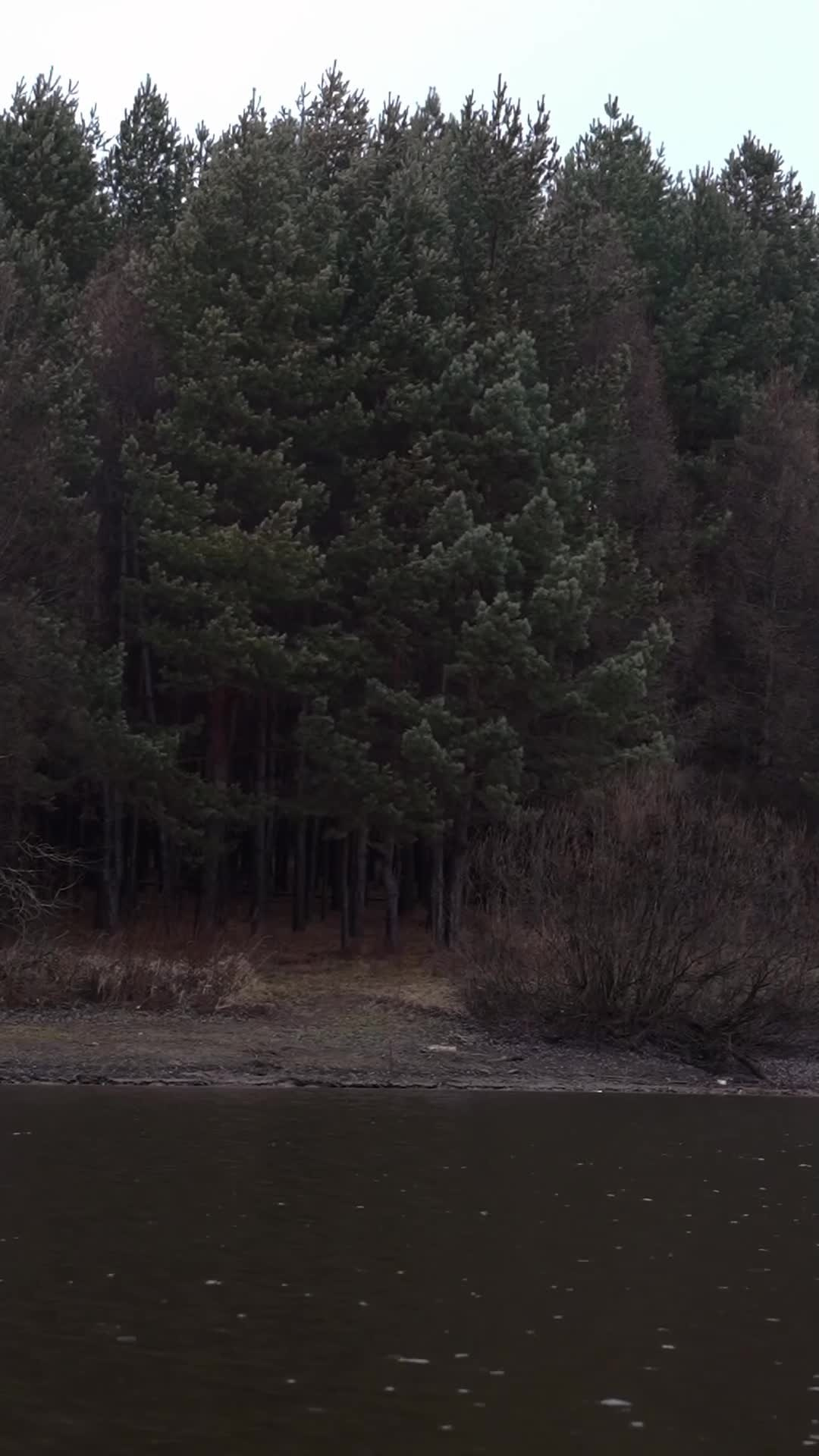 Индивидуальная видеосъемка. Видеомейкер Барышева Оля