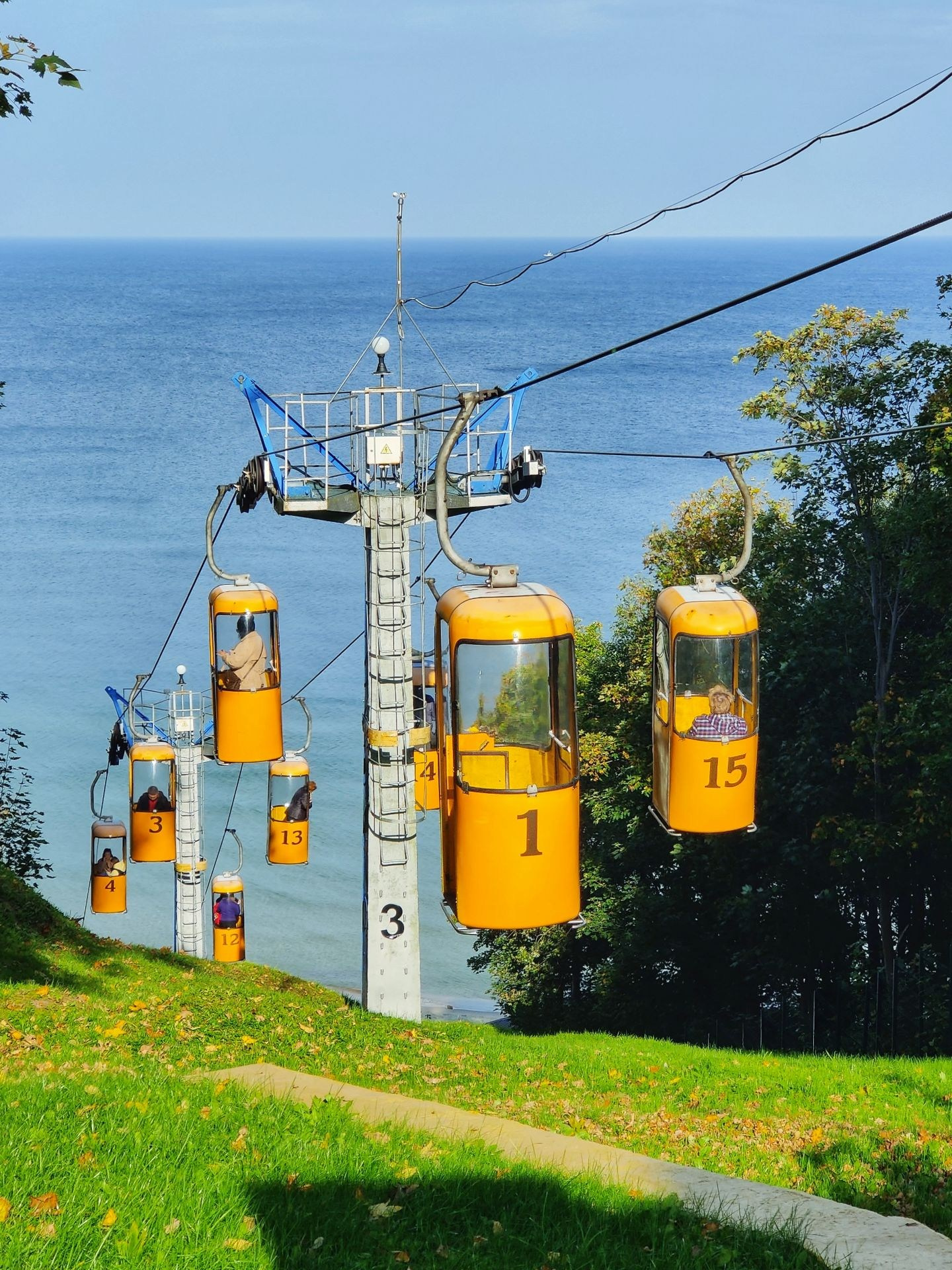 Жёлтые кабинки канатной дороги над зелёным склоном с видом на Балтийское море