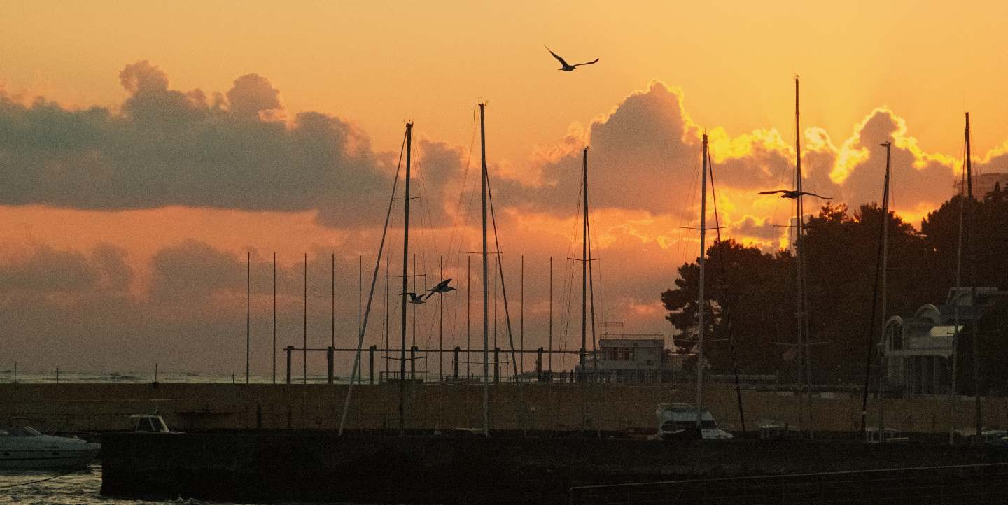 BEST FAMILY BOOK 2017